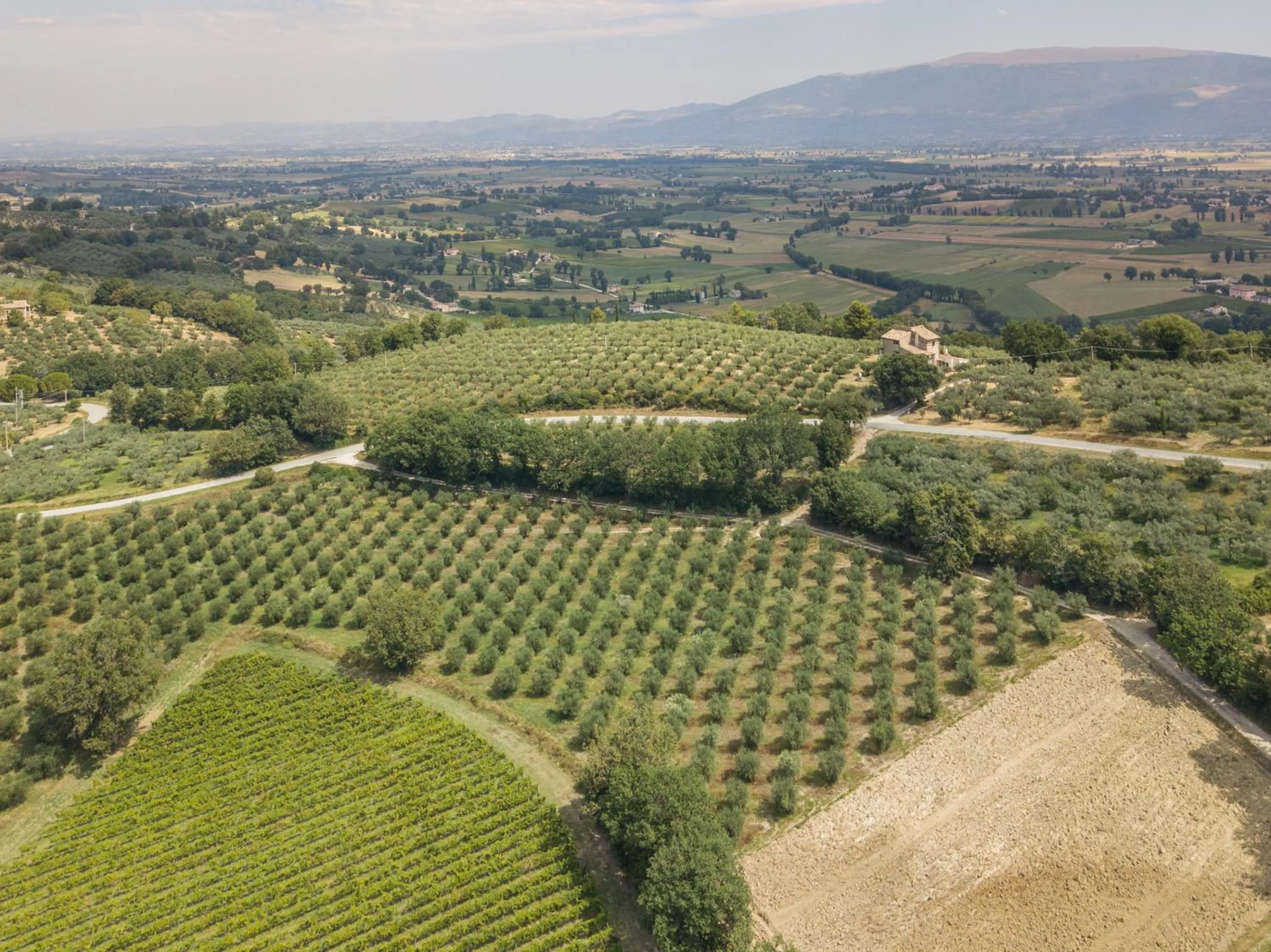 Bird's eye view in Maestà delle Quattro Chiavi