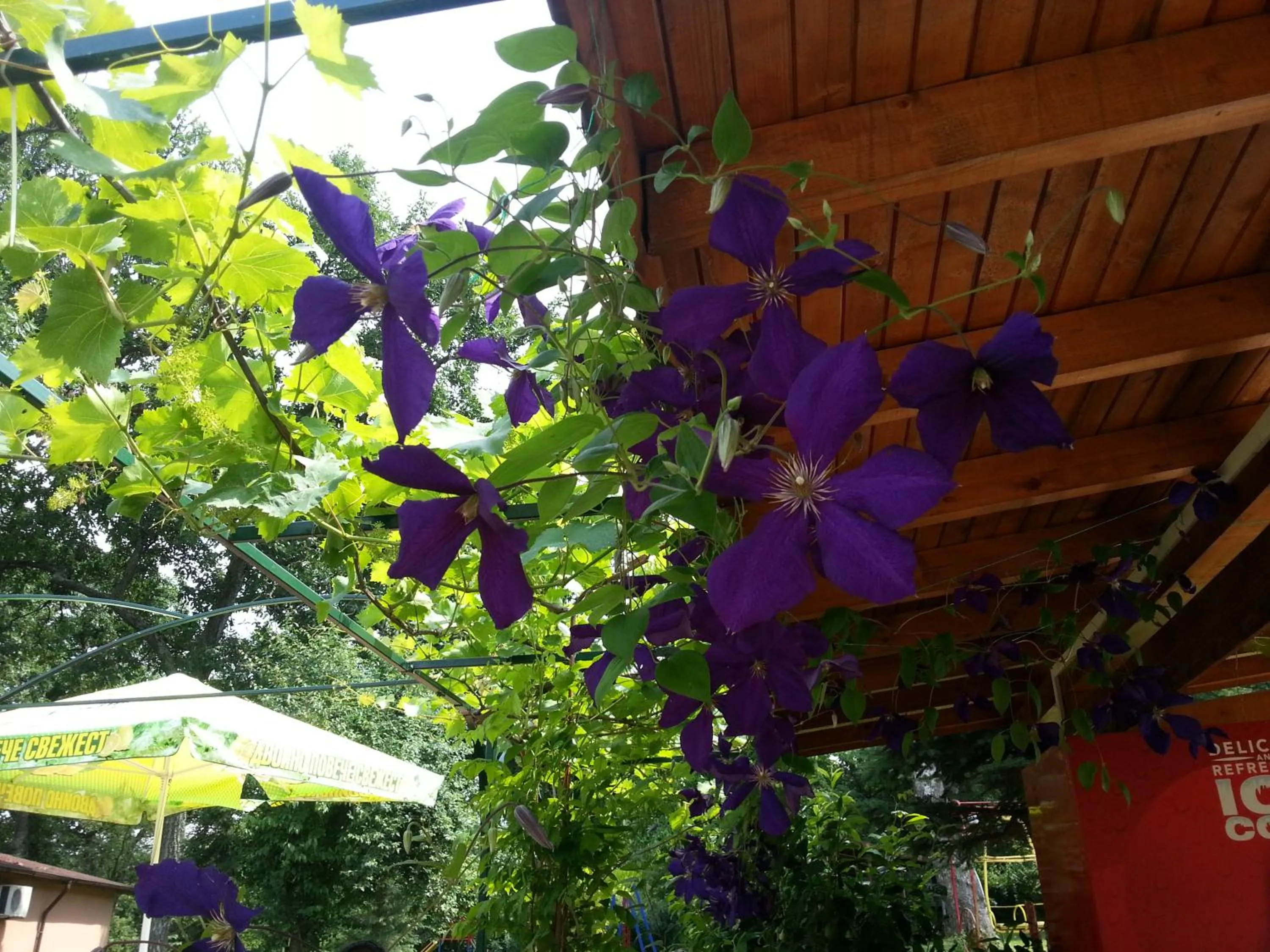 Garden in Туристически комплекс"Странджа"