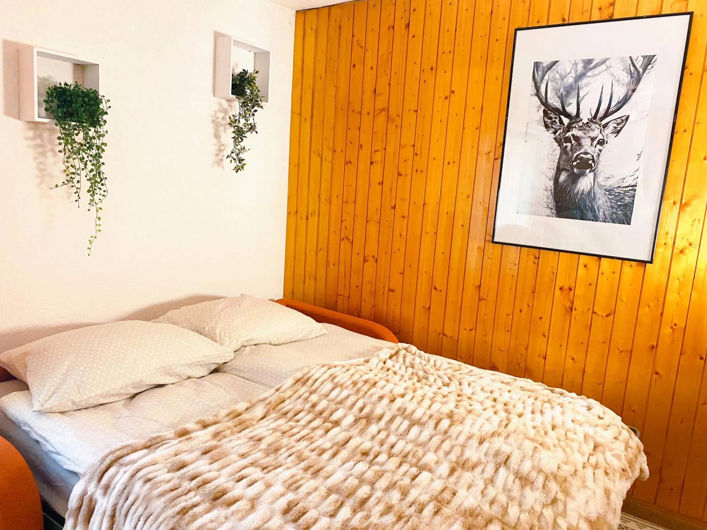 Bed in Appartement central Free Parking