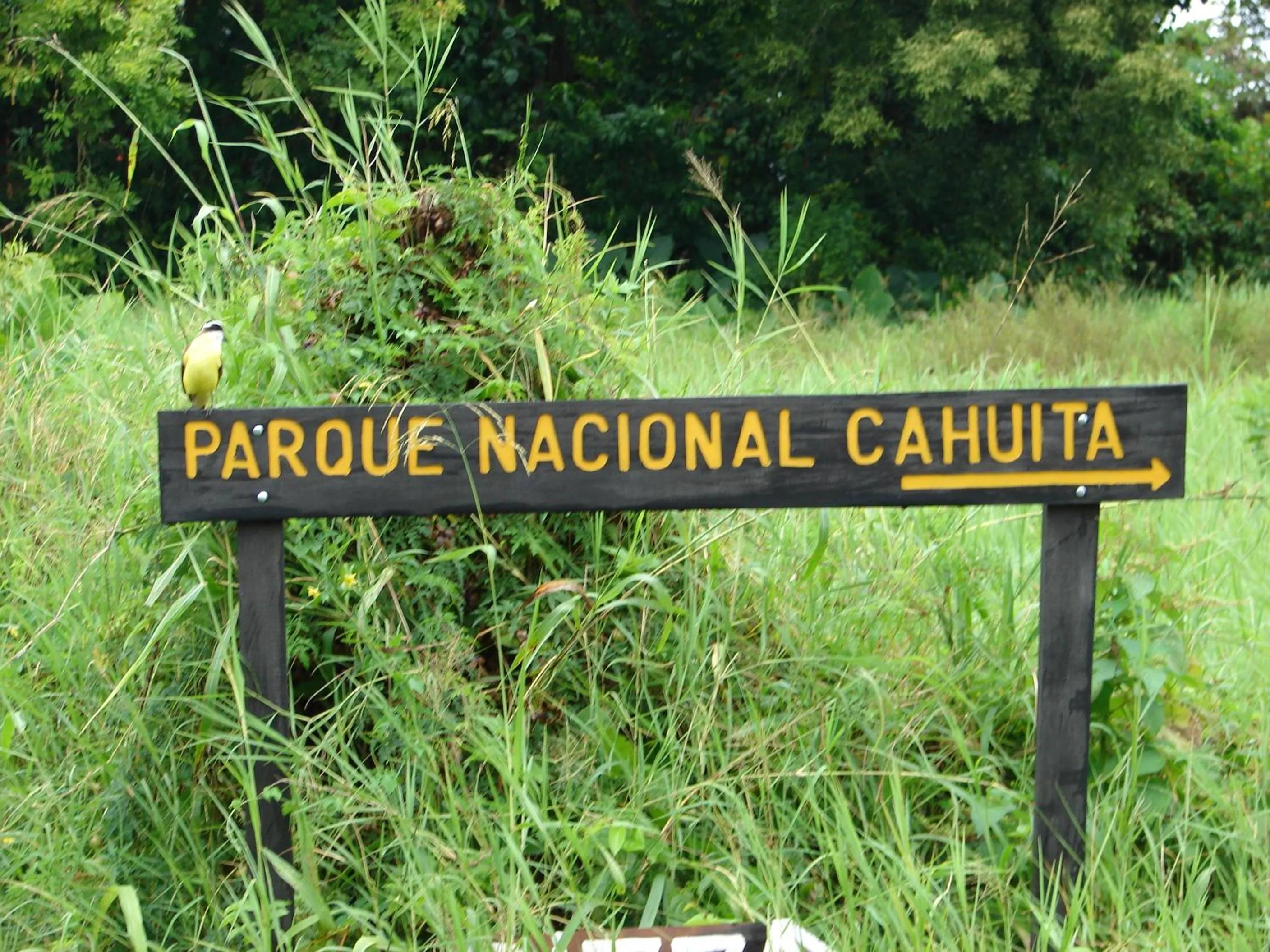Babilonia