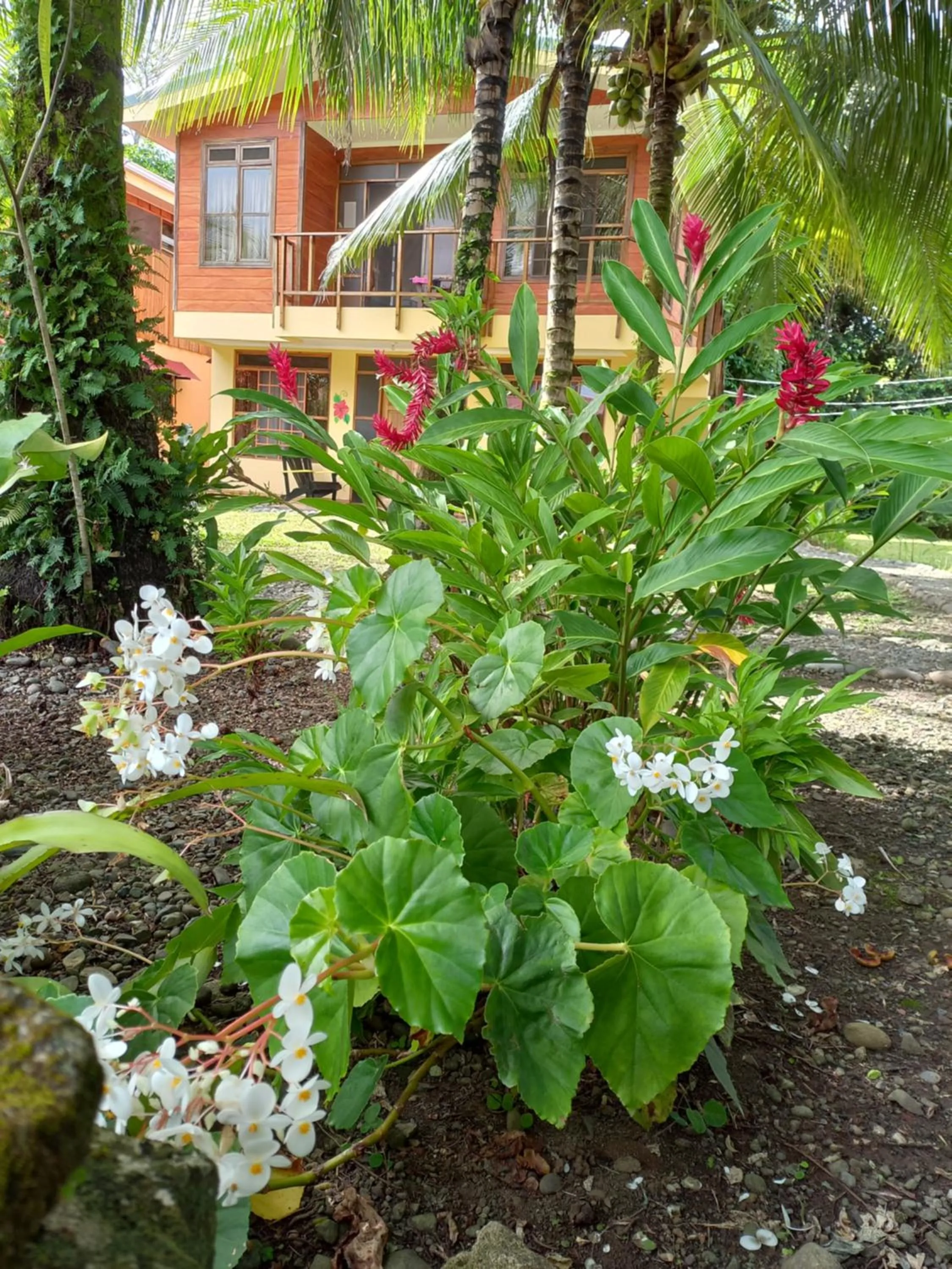 Garden in Babilonia