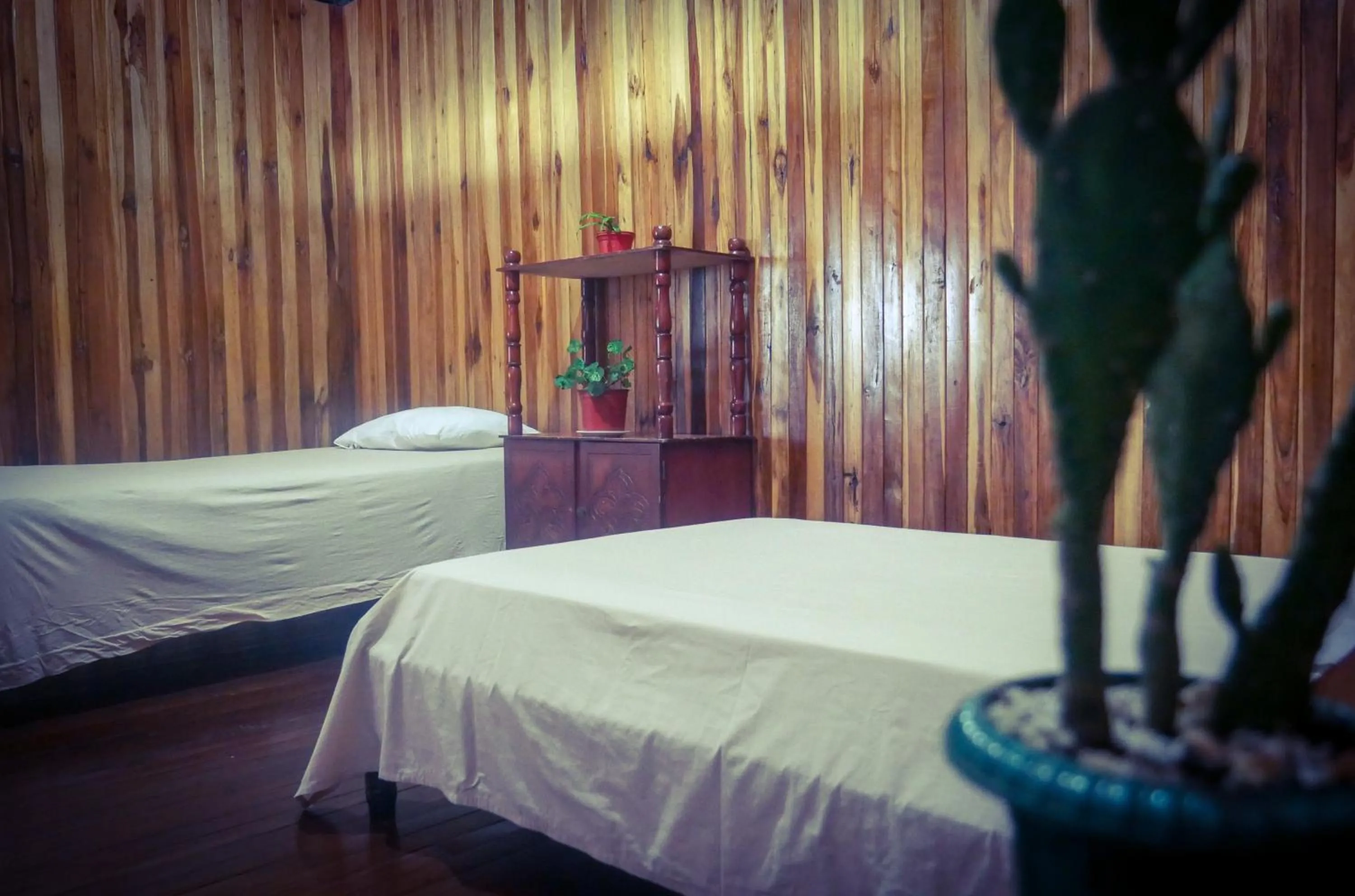 Bed in Monte Los Lirios Lodge