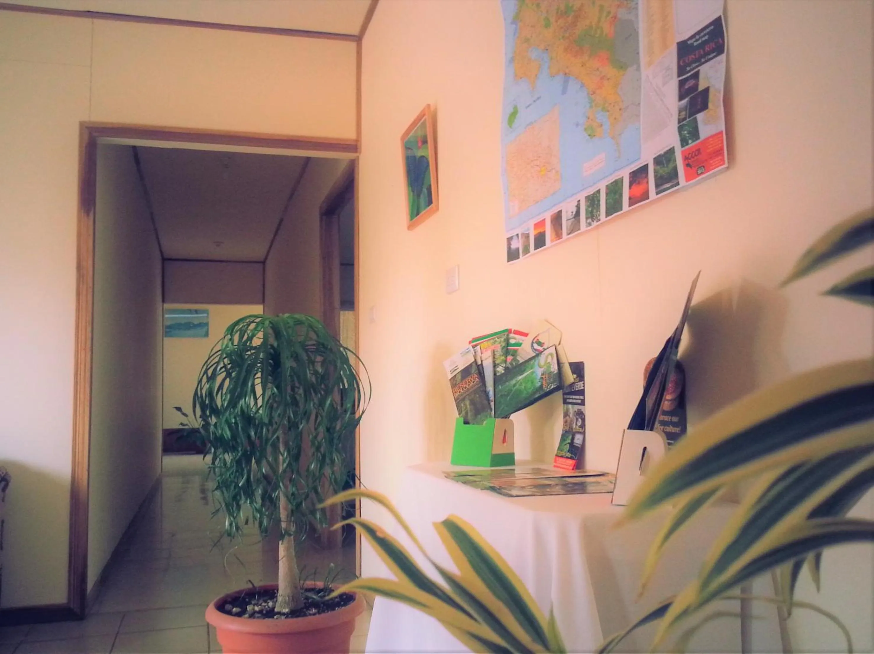 Lobby or reception in Monte Los Lirios Lodge