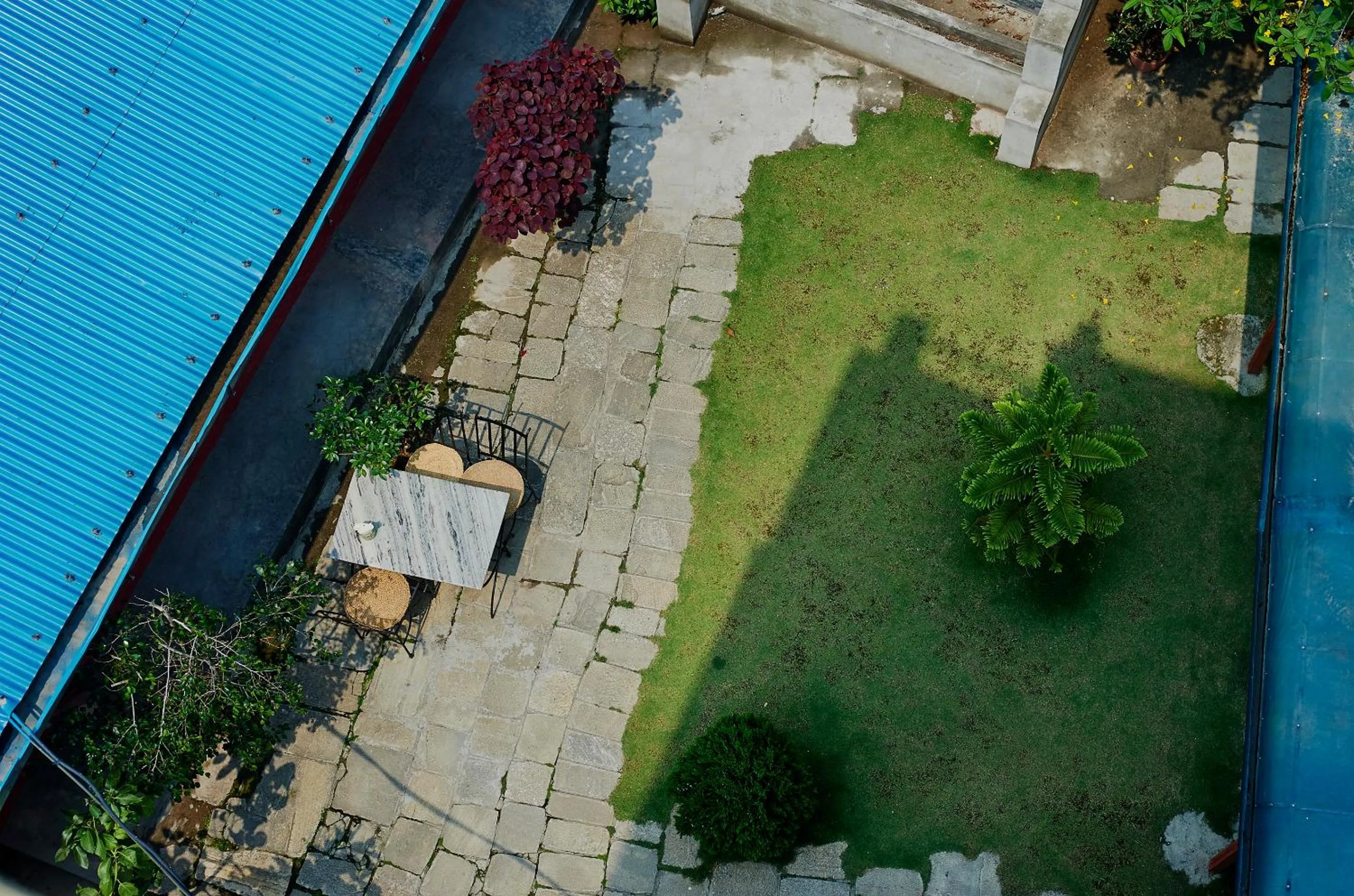 Garden view in Bodhi Guest House