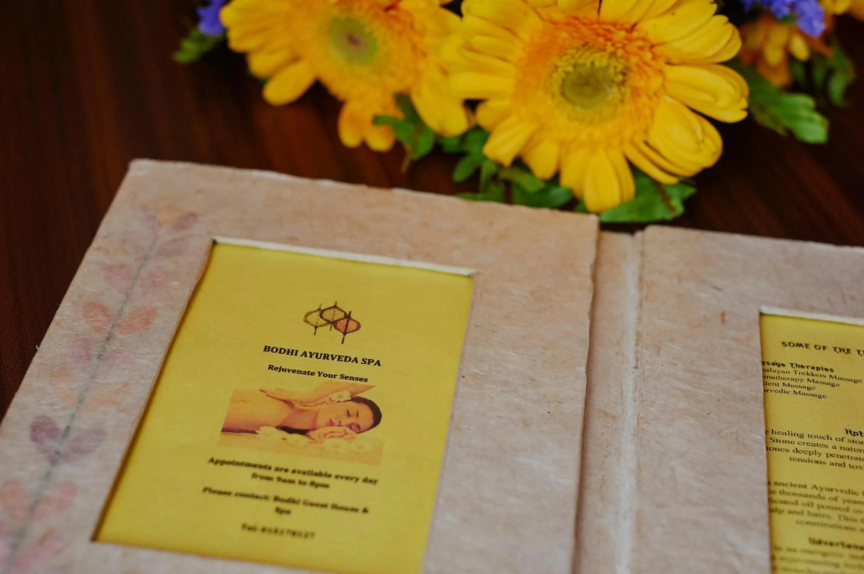 Property logo or sign in Bodhi Guest House