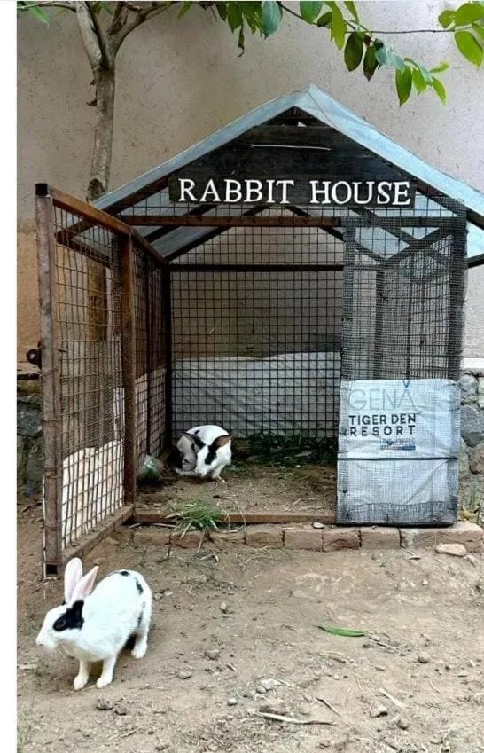 Text overlay in Click Resort Corbett Tiger Den