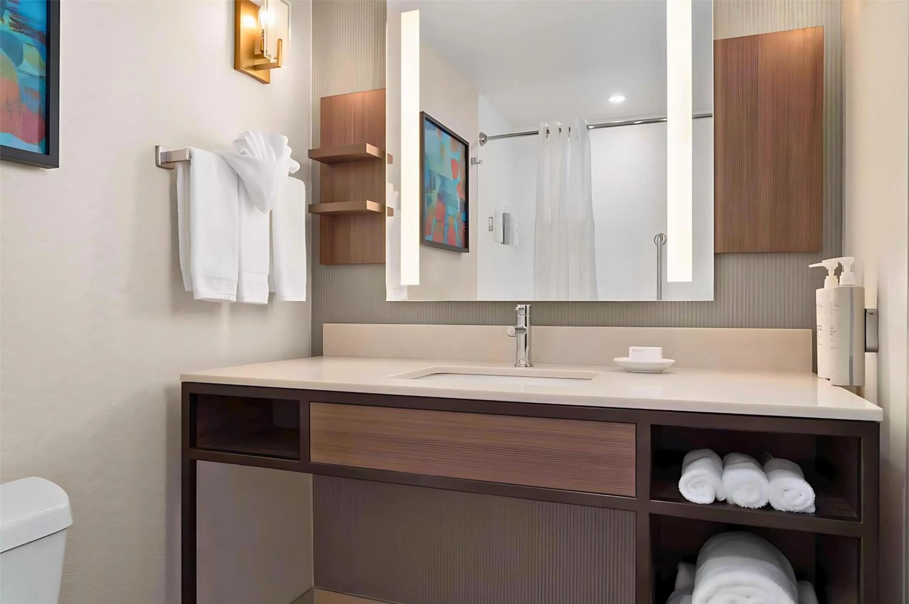 Bathroom in Hilton Garden Inn Greenville University Area