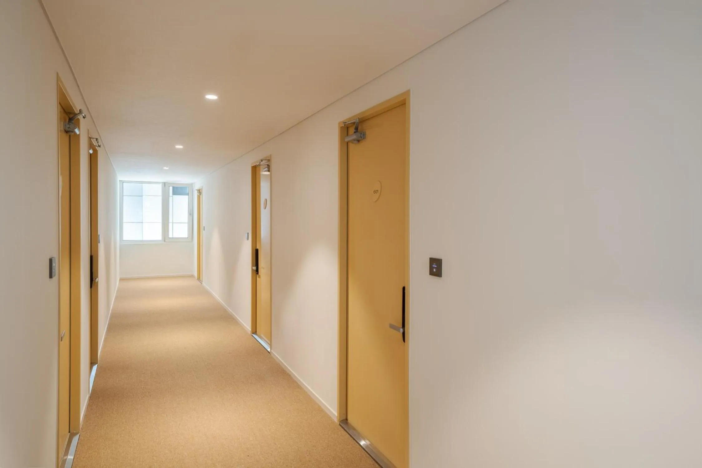 Area and facilities in Mangrove Jeju City