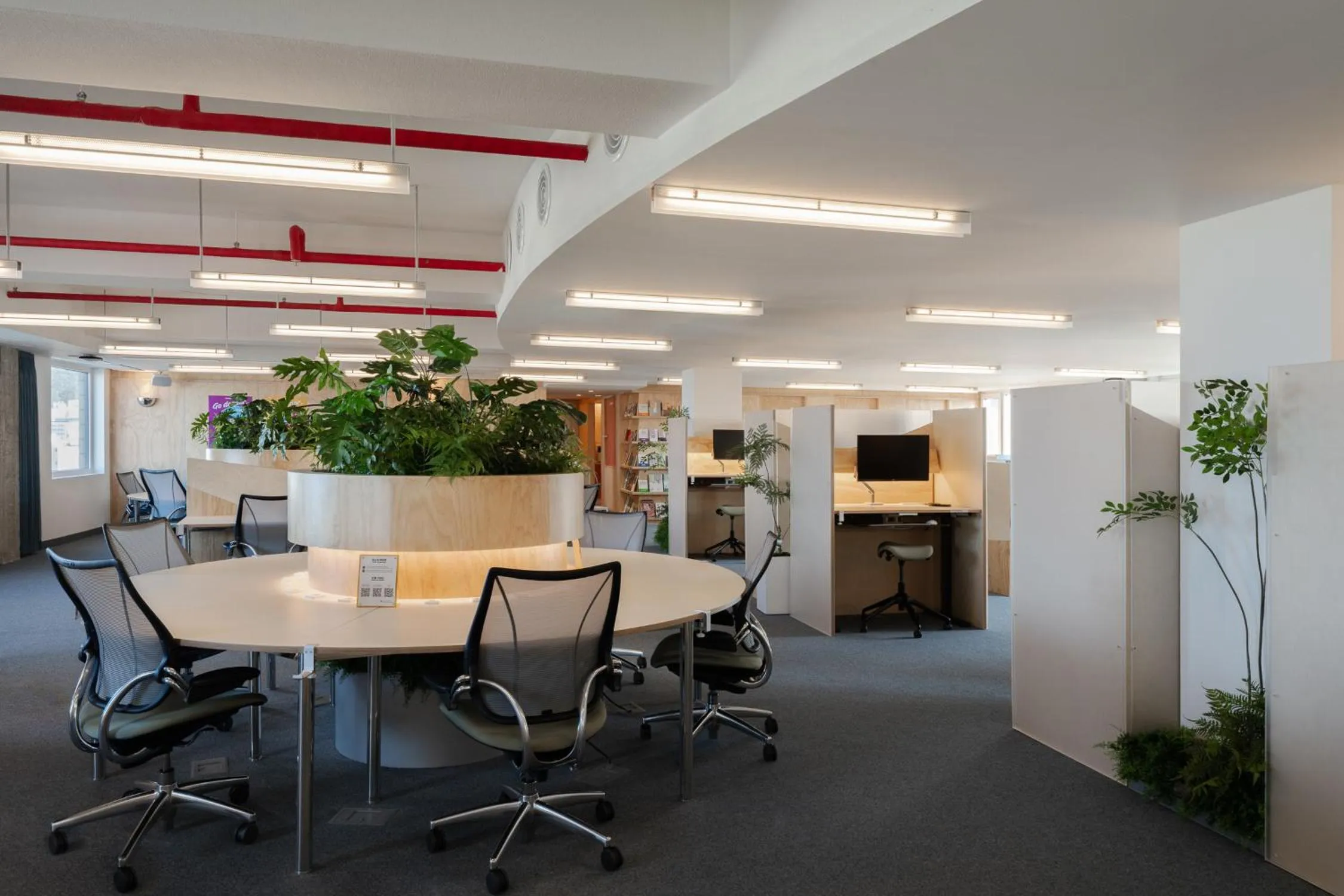 Business facilities in Mangrove Jeju City