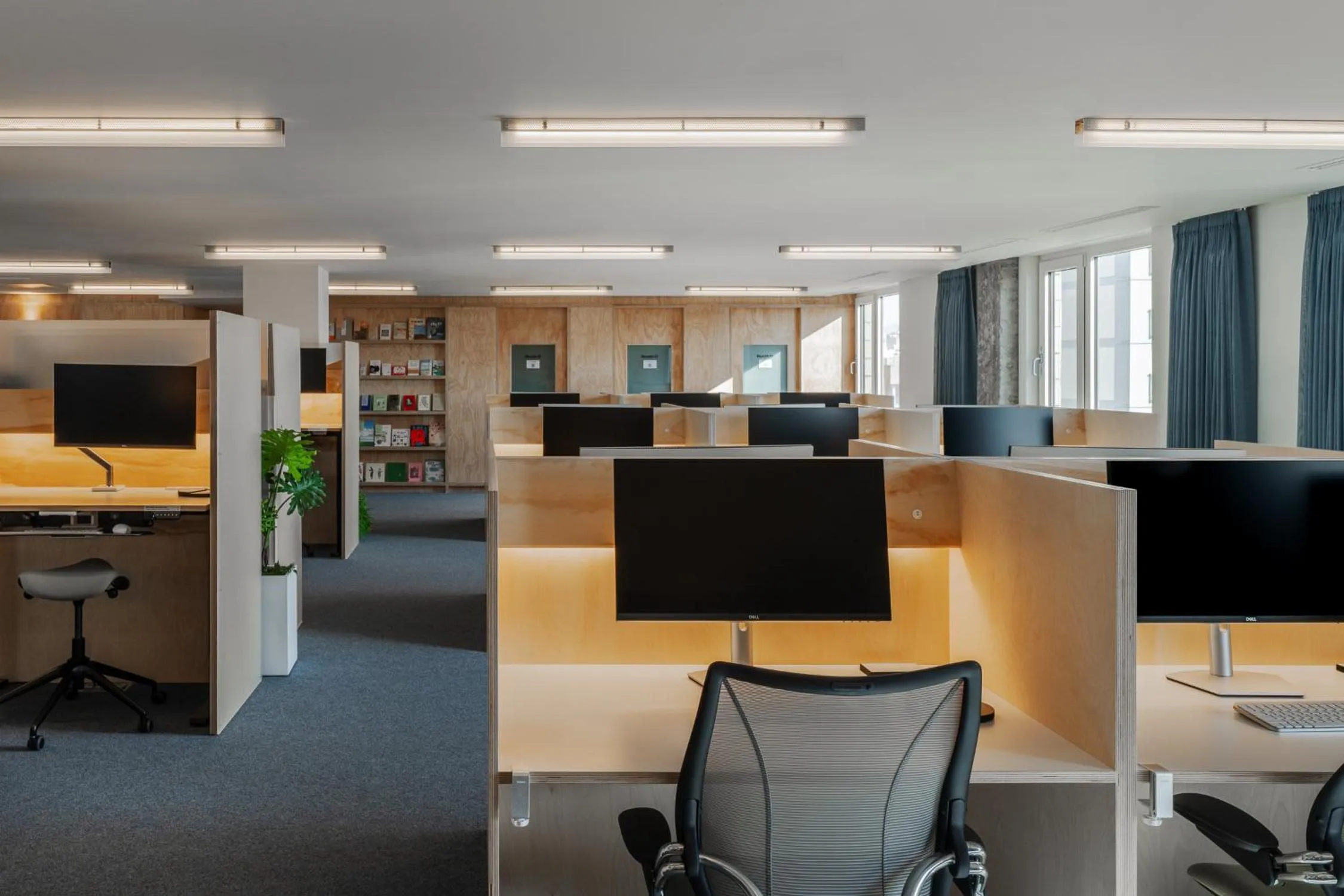 Business facilities in Mangrove Jeju City