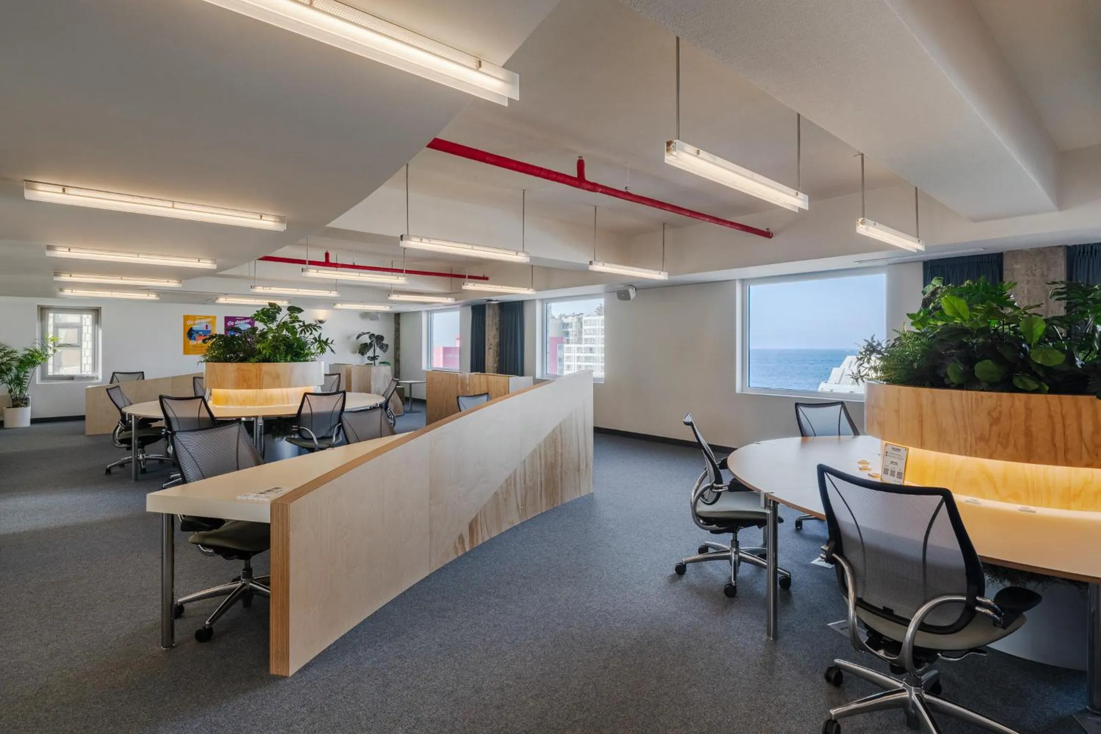 Business facilities in Mangrove Jeju City