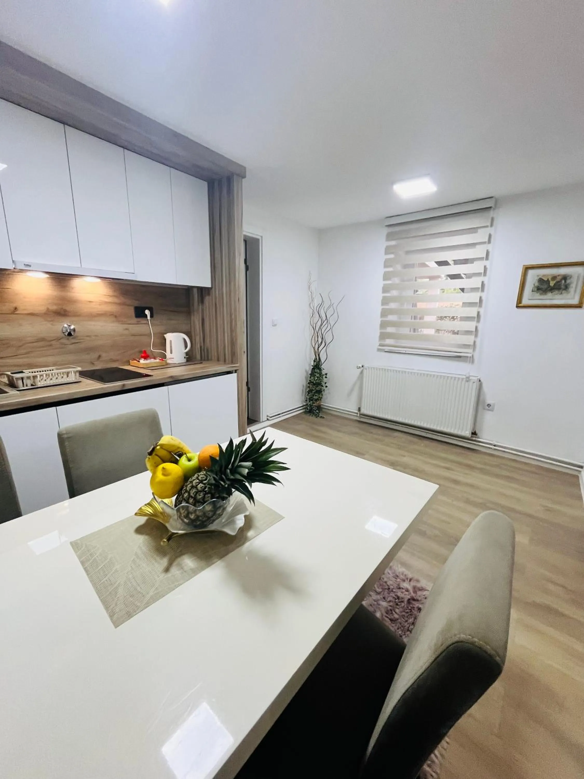 Apartment Irma