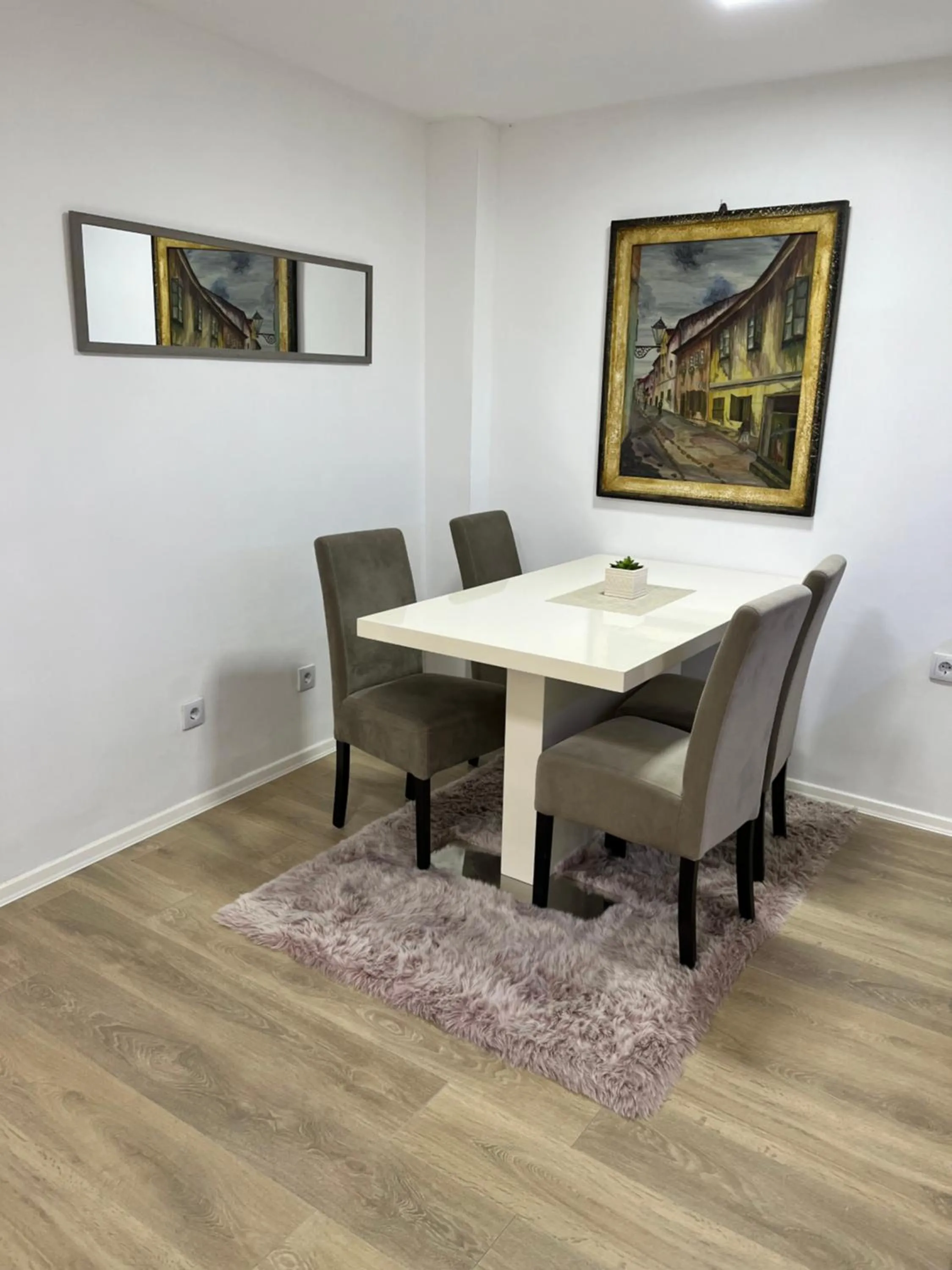 Apartment Irma