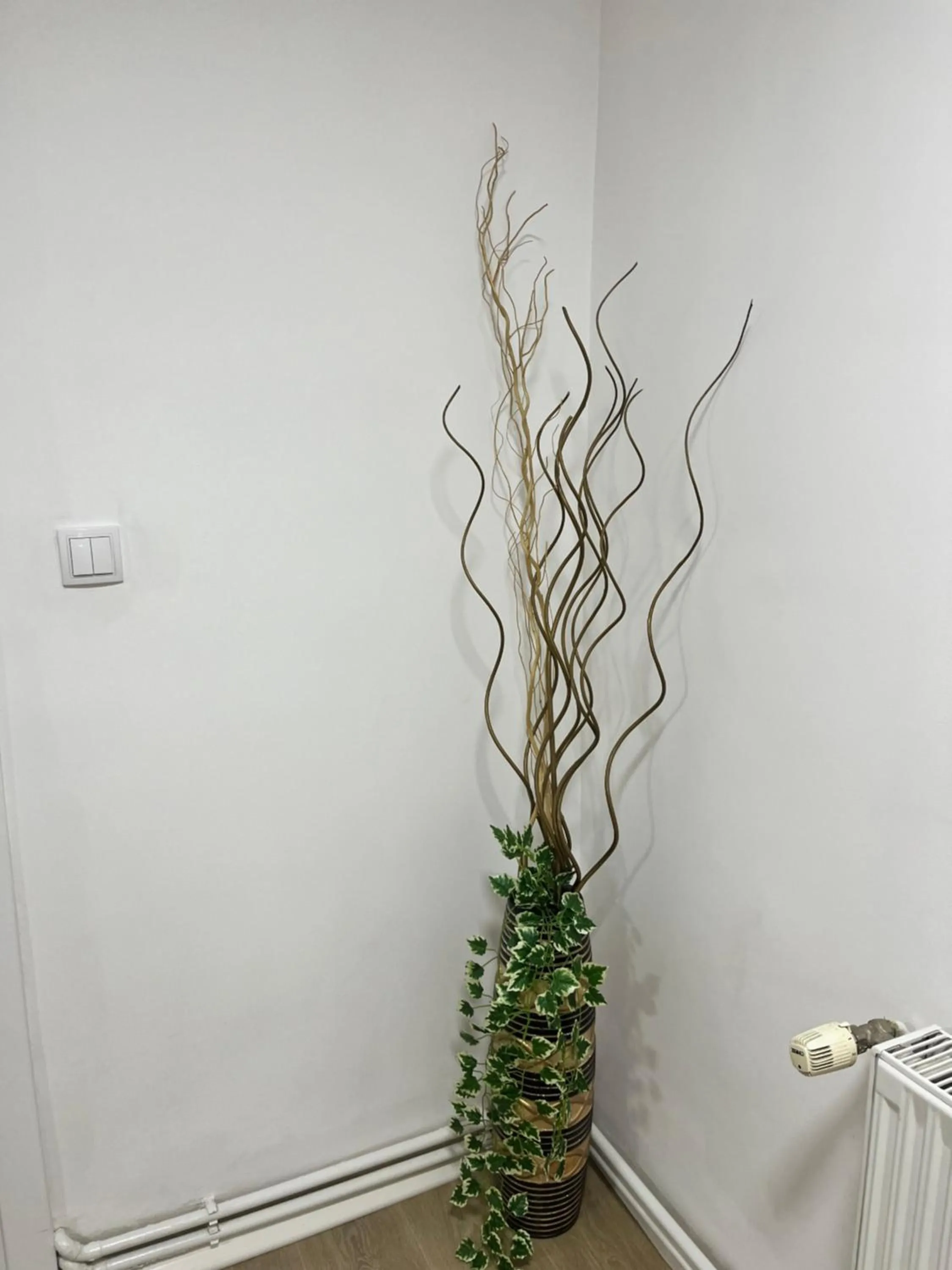 Apartment Irma
