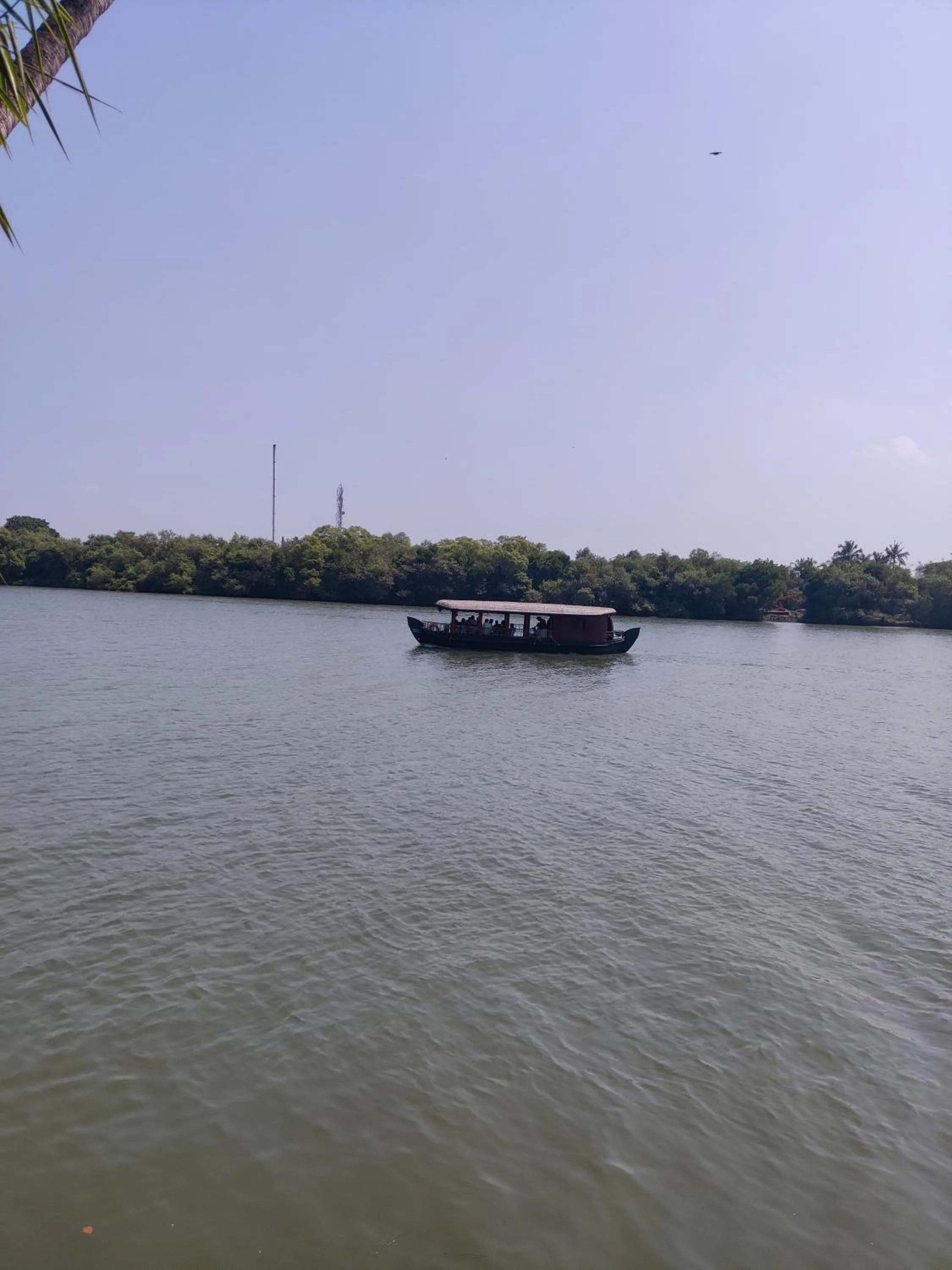 Activities in Vista Al Rio