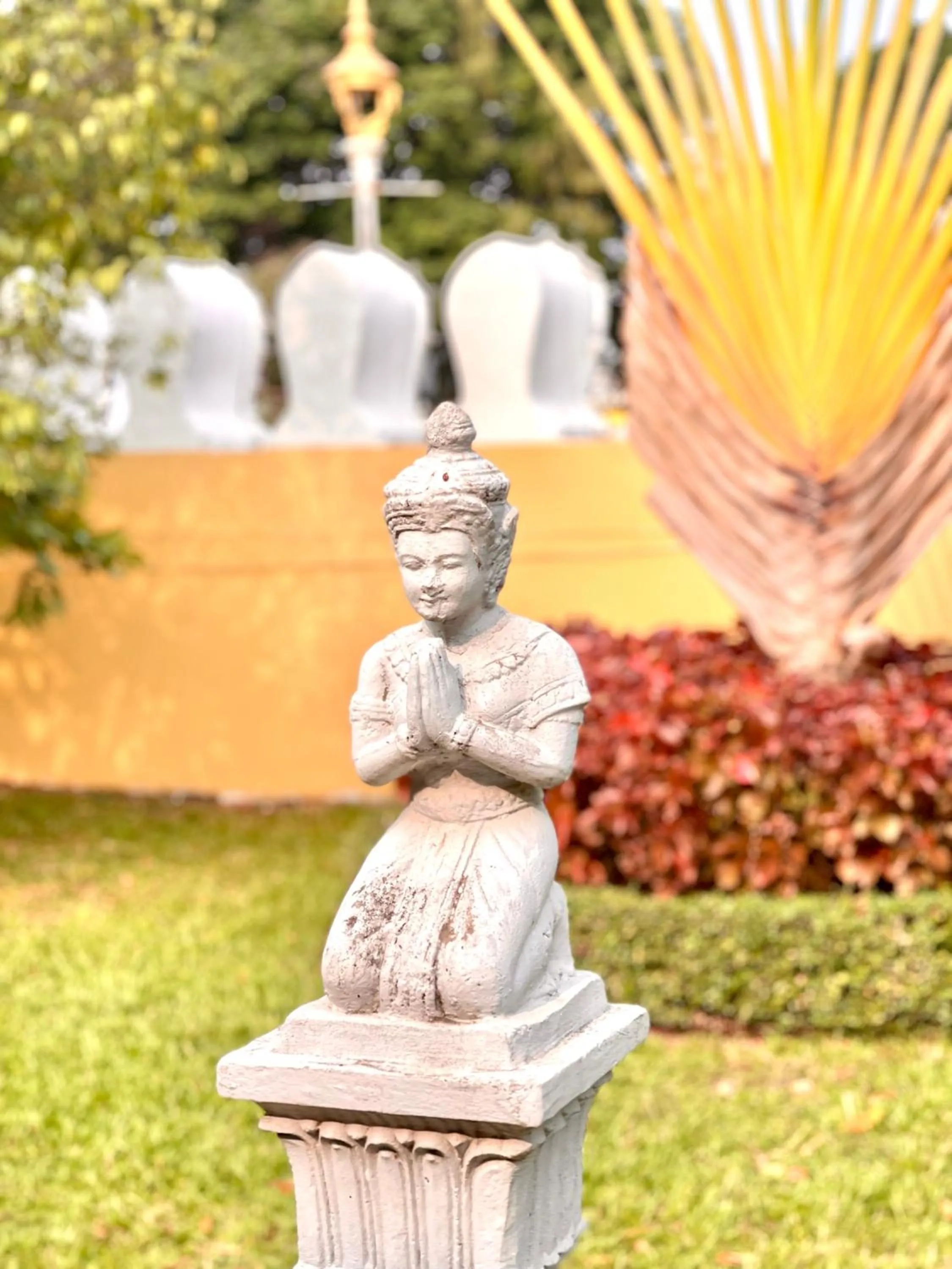 Sky hotel - Rooms & Free laundry - 50m to Royal Palace