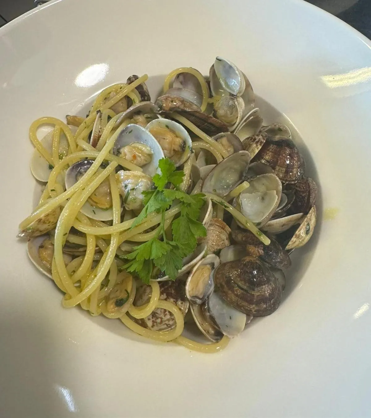 Albergo La Conca Azzurra