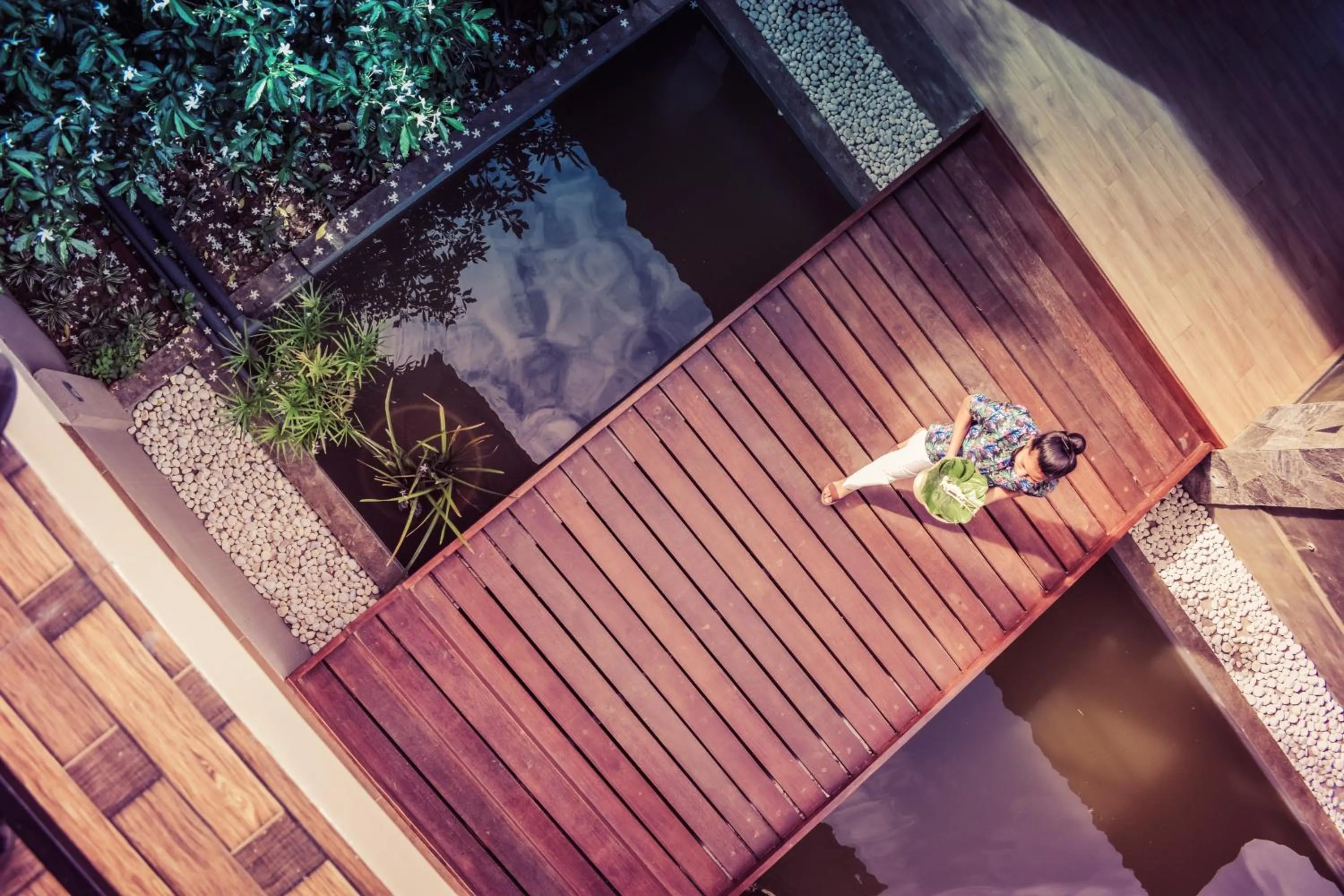 View (from property/room) in Hotel Sigiriyaaya