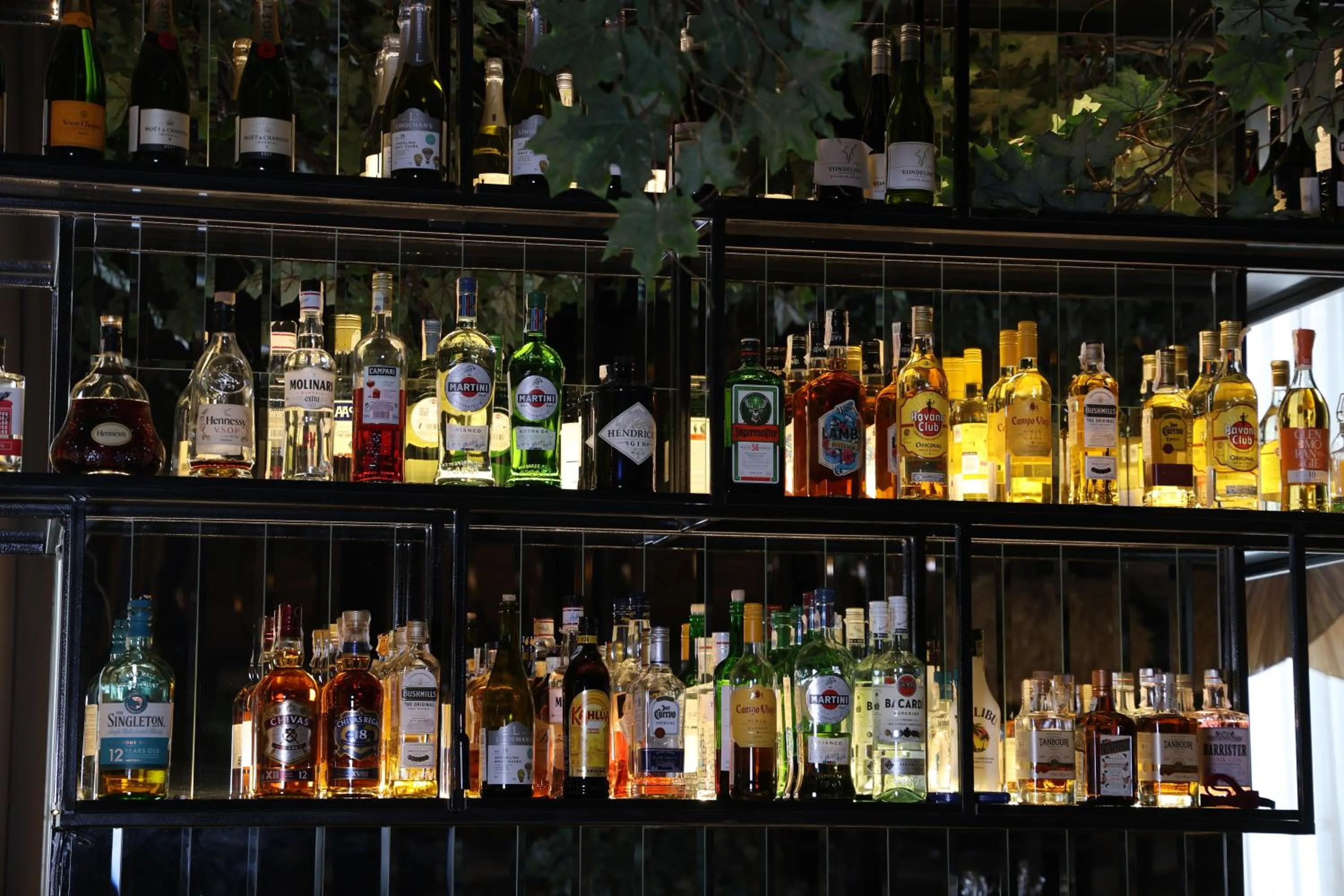 Food and drinks in Azimut Hotel Tashkent