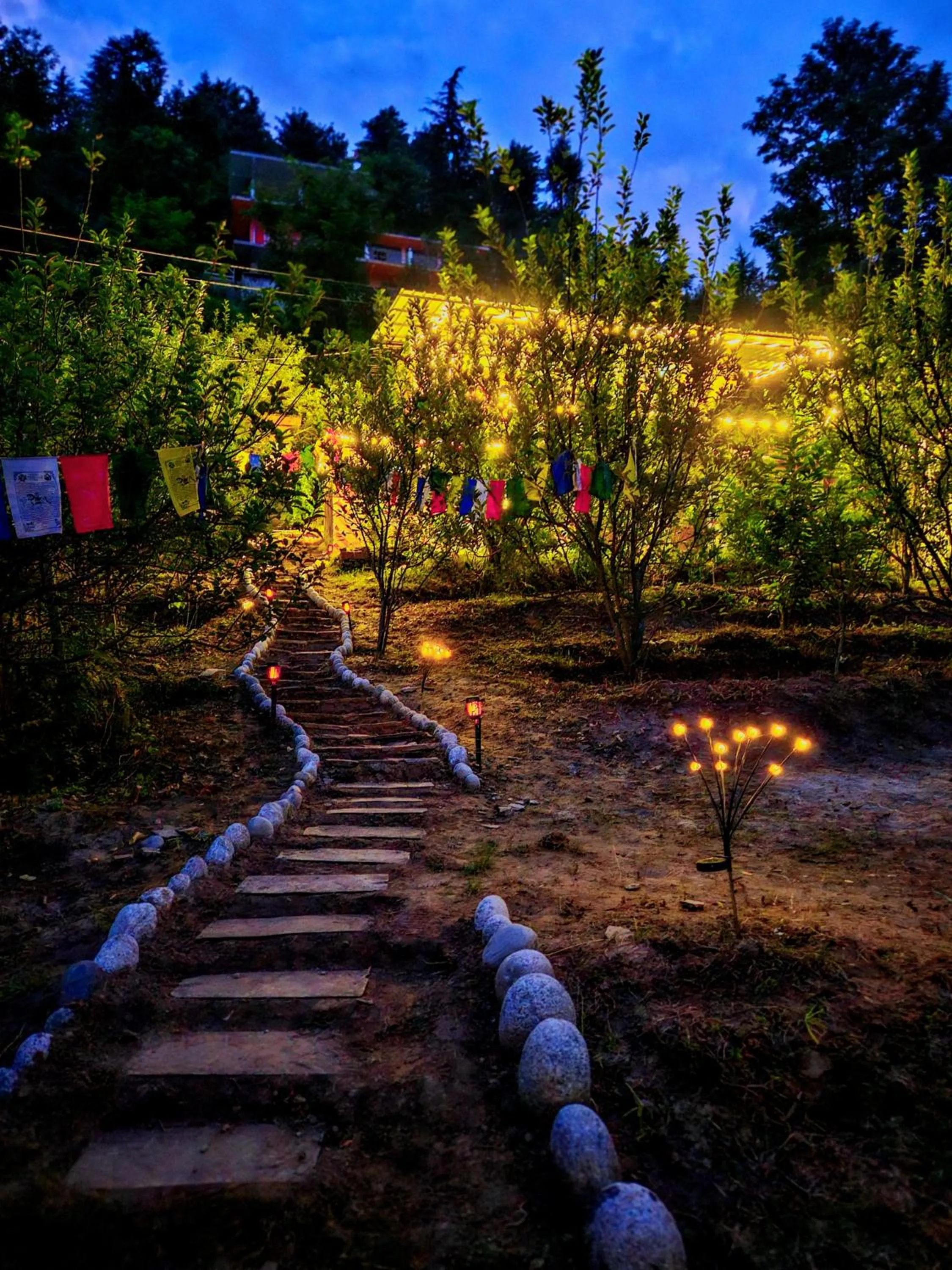 Spring in PREMALYA TRAILS By Tirtha