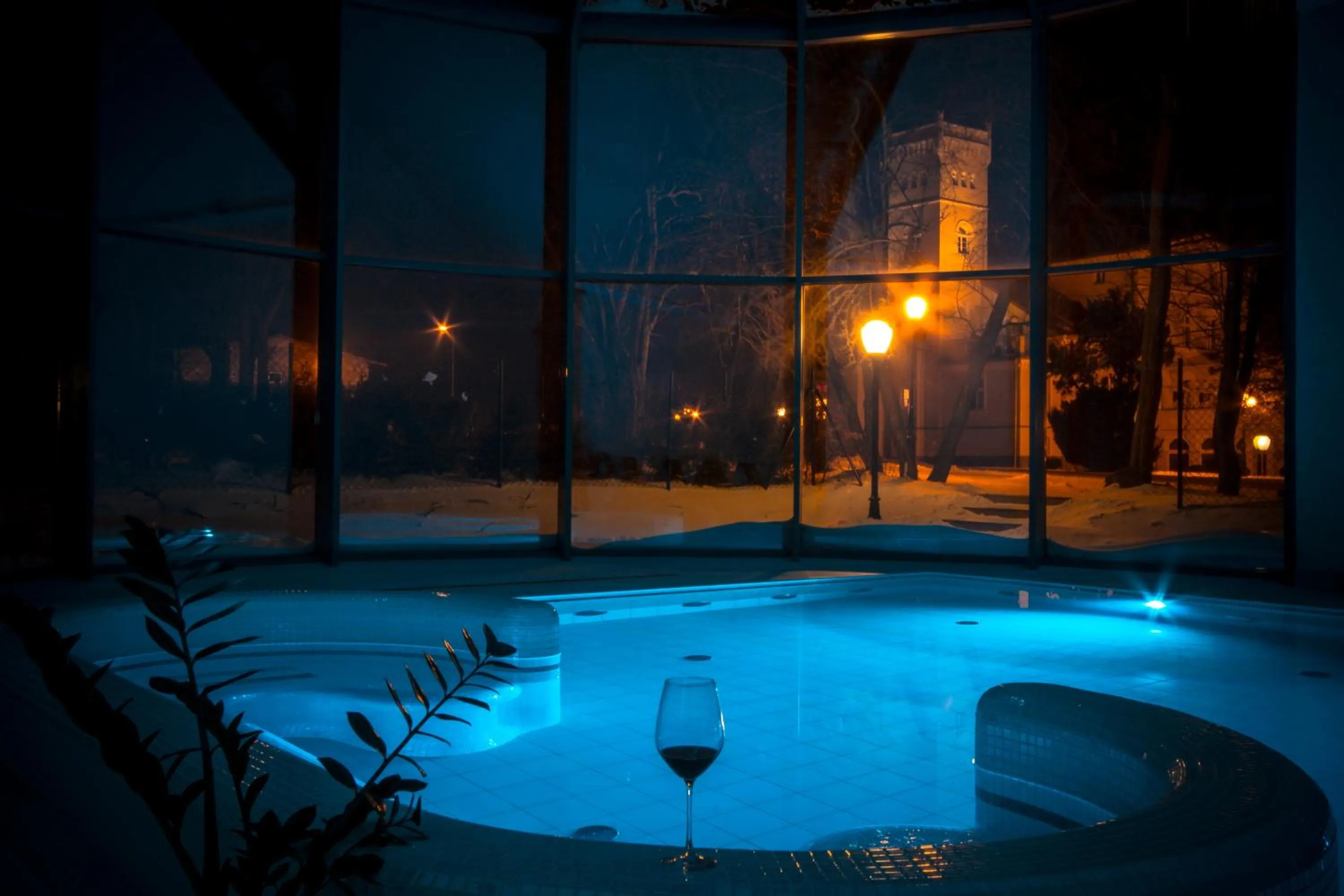 Night in Hotel SPA Wieniawa