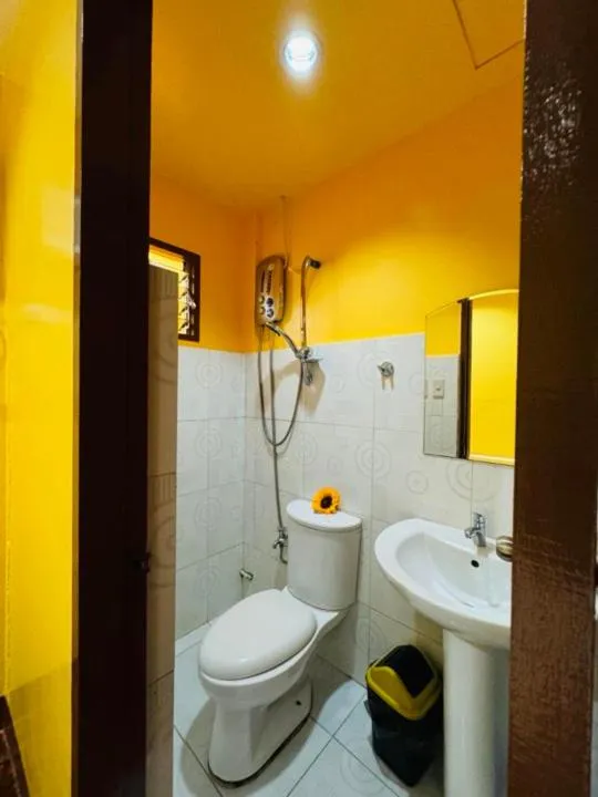 mam olson pensionne house