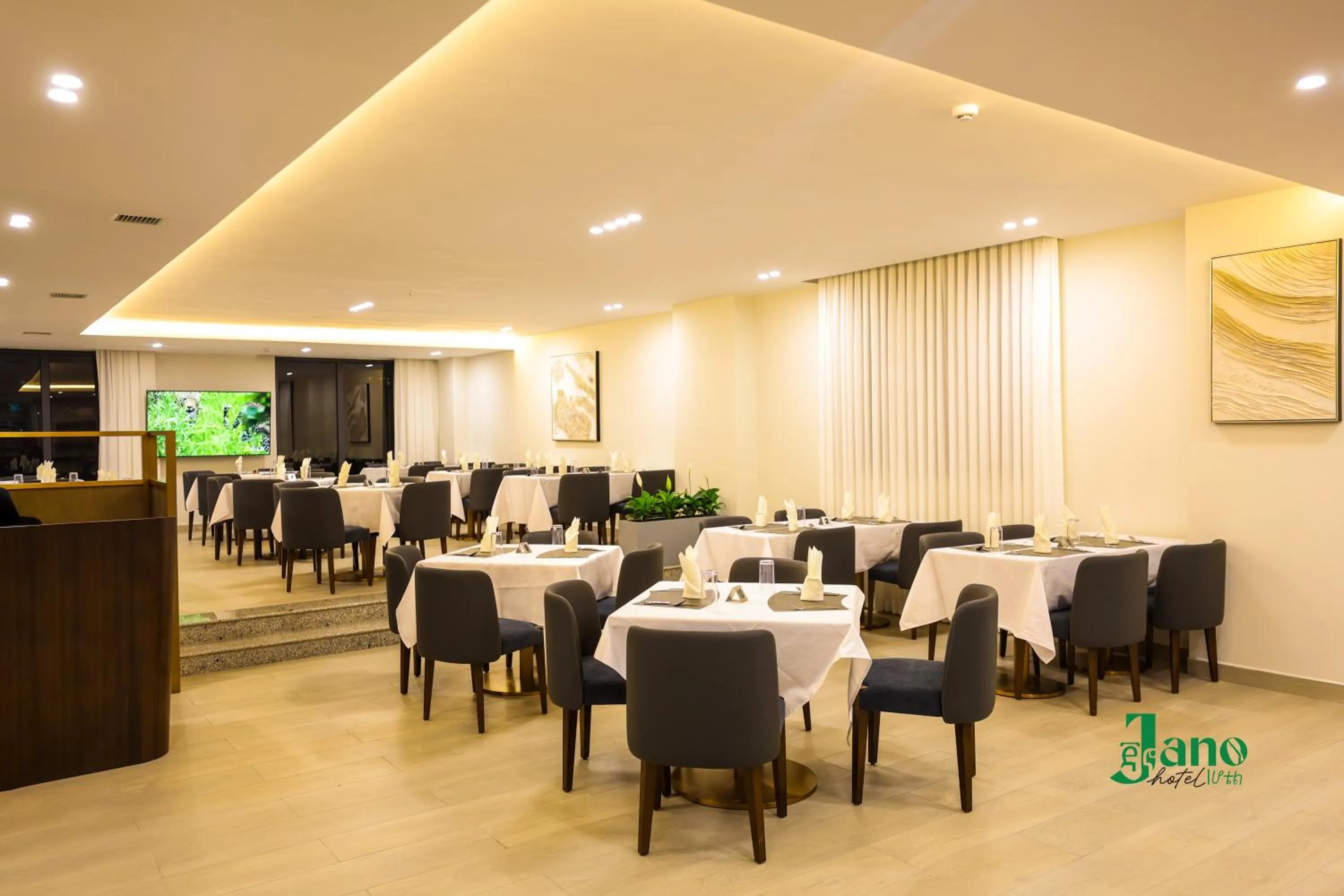 Restaurant/places to eat in Jano Hotel
