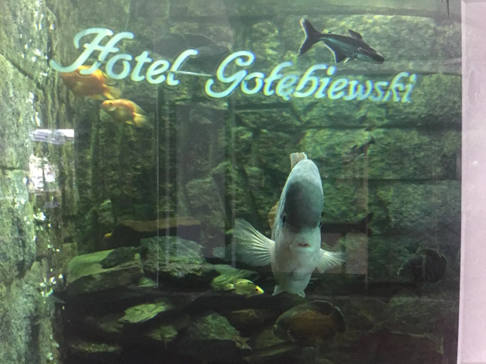 Lobby or reception in Hotel Gołębiewski Białystok