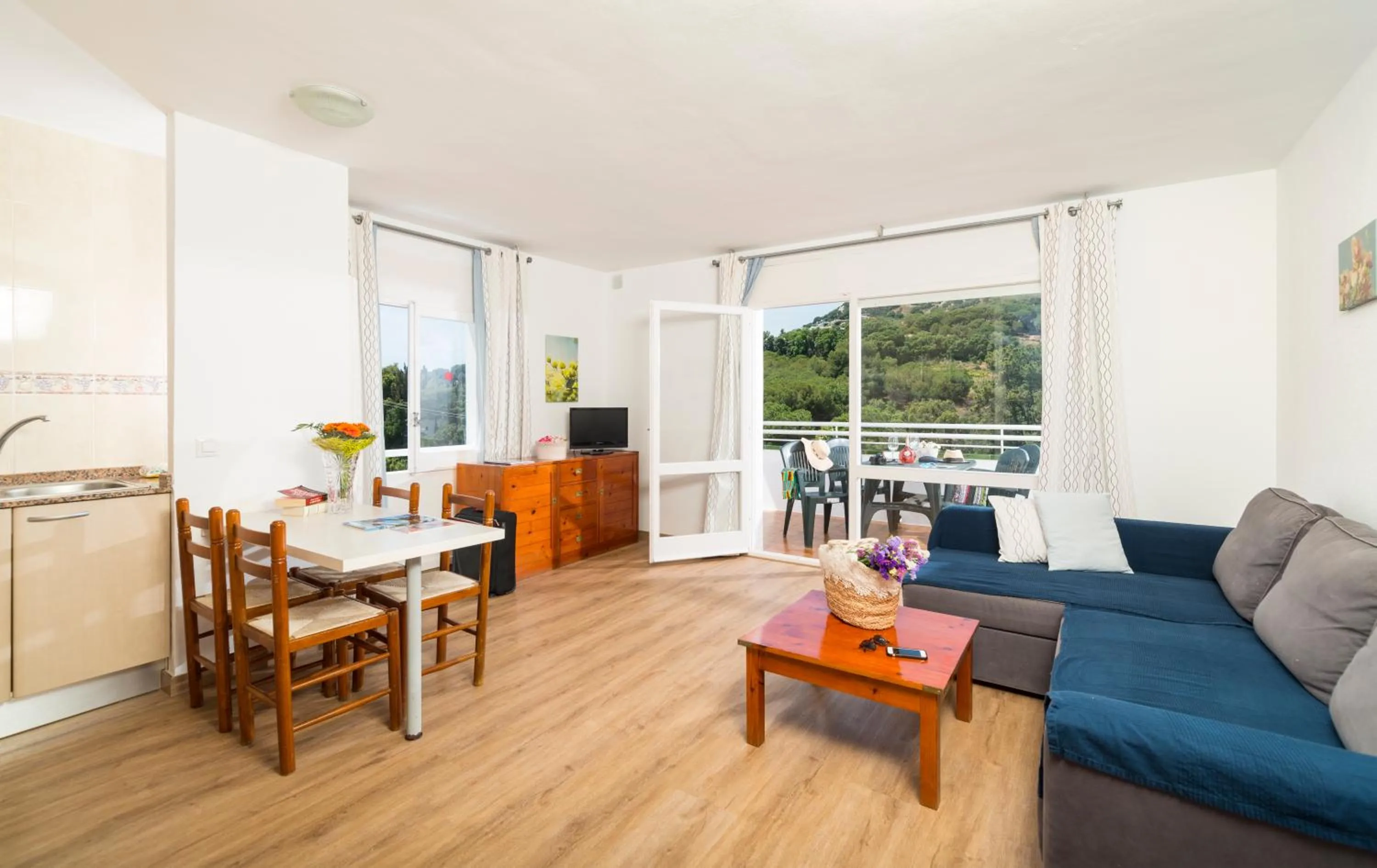 TV and multimedia in Apartaments Els Llorers