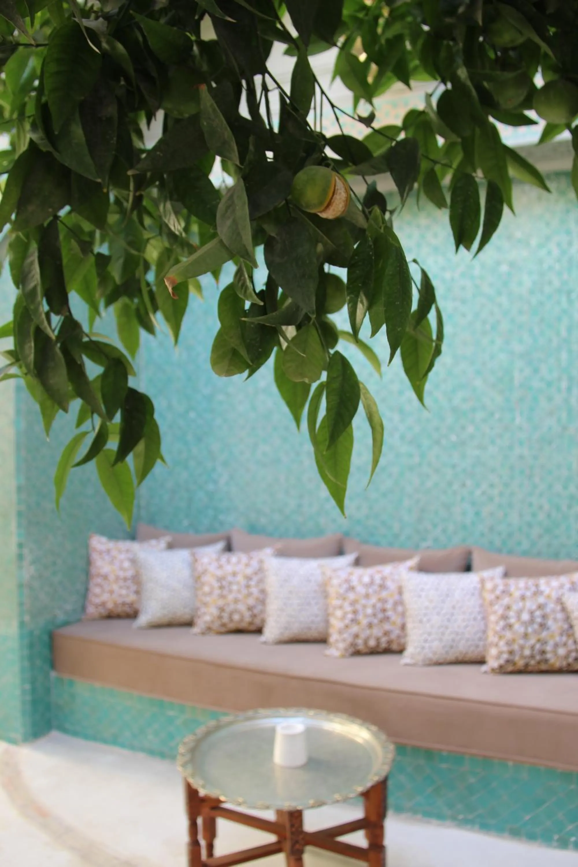 Garden in Riad Emberiza Sahari