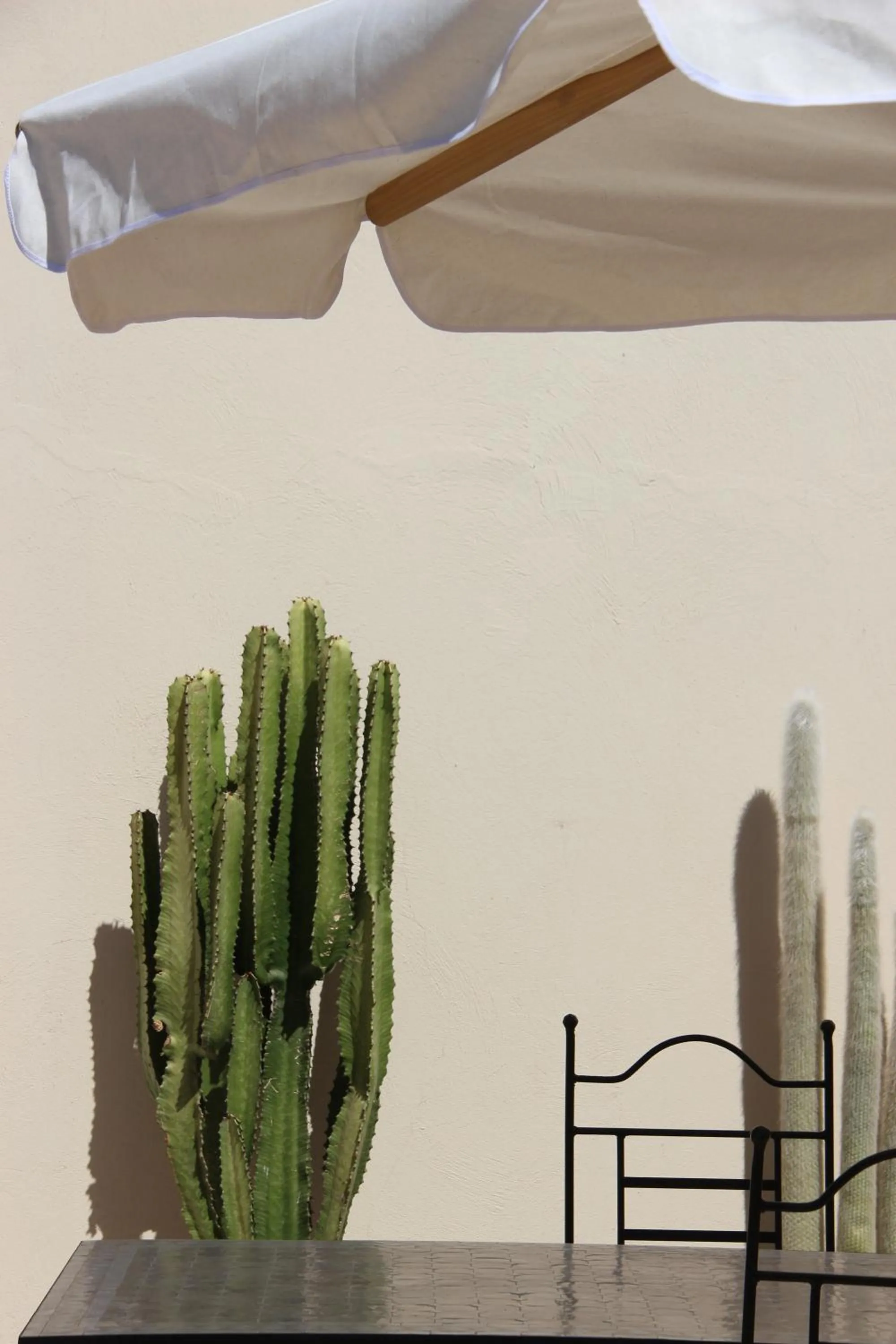 Patio in Riad Emberiza Sahari