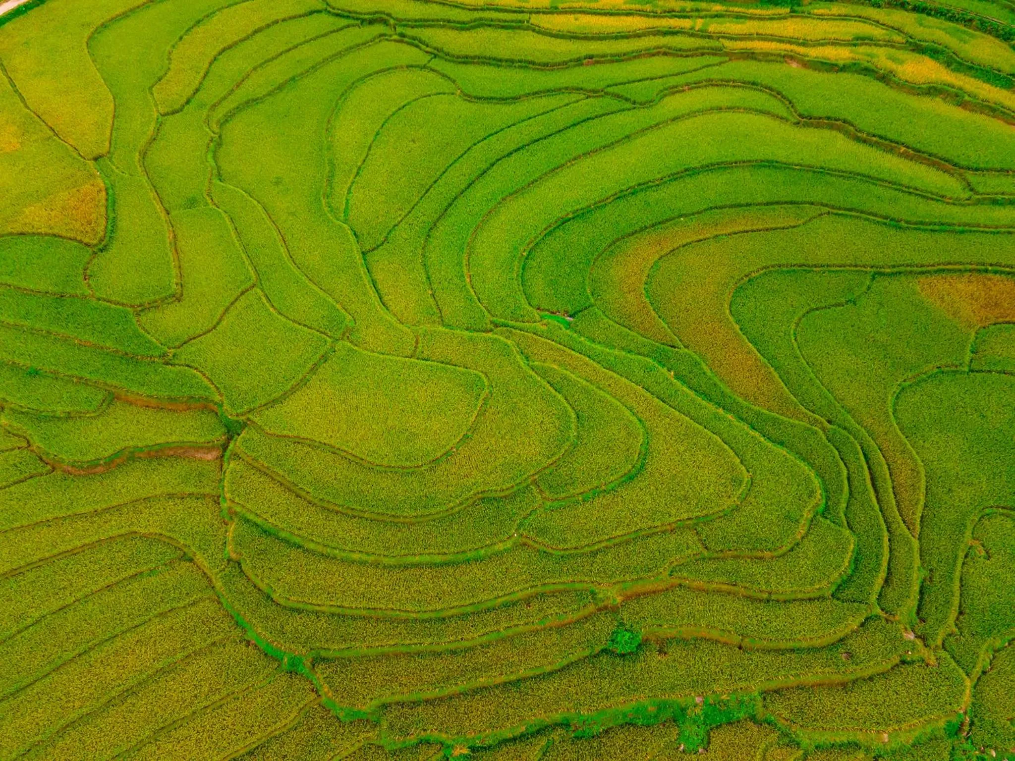 Balcony/Terrace in Lam Ecolodge Mu Cang Chai