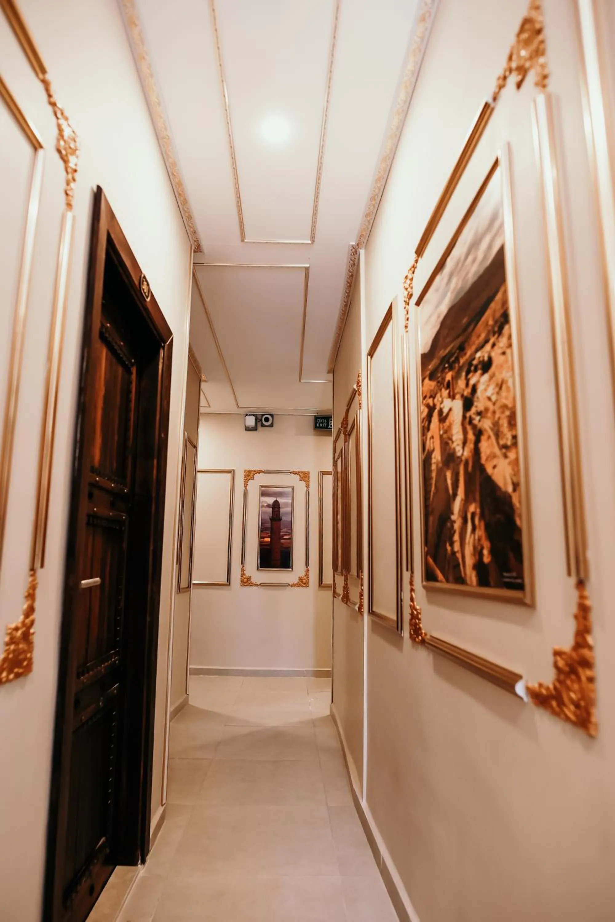 Decorative detail in Minessa Konağı