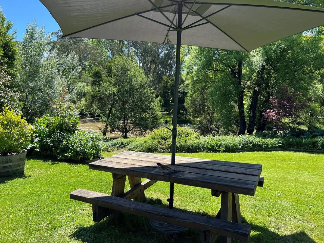 Garden in Riverbank Park MOTEL