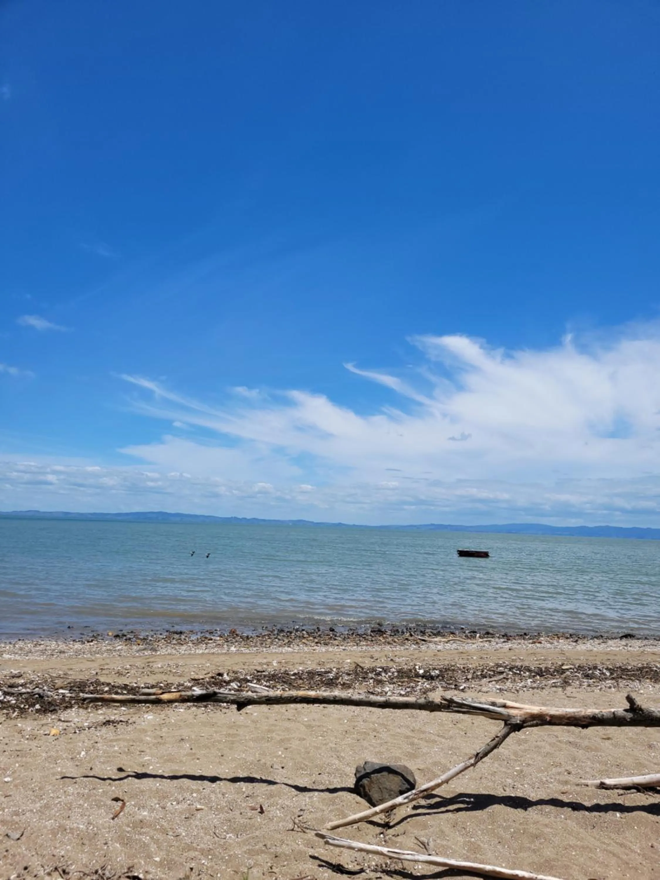 Beach in Dickson Holiday Park