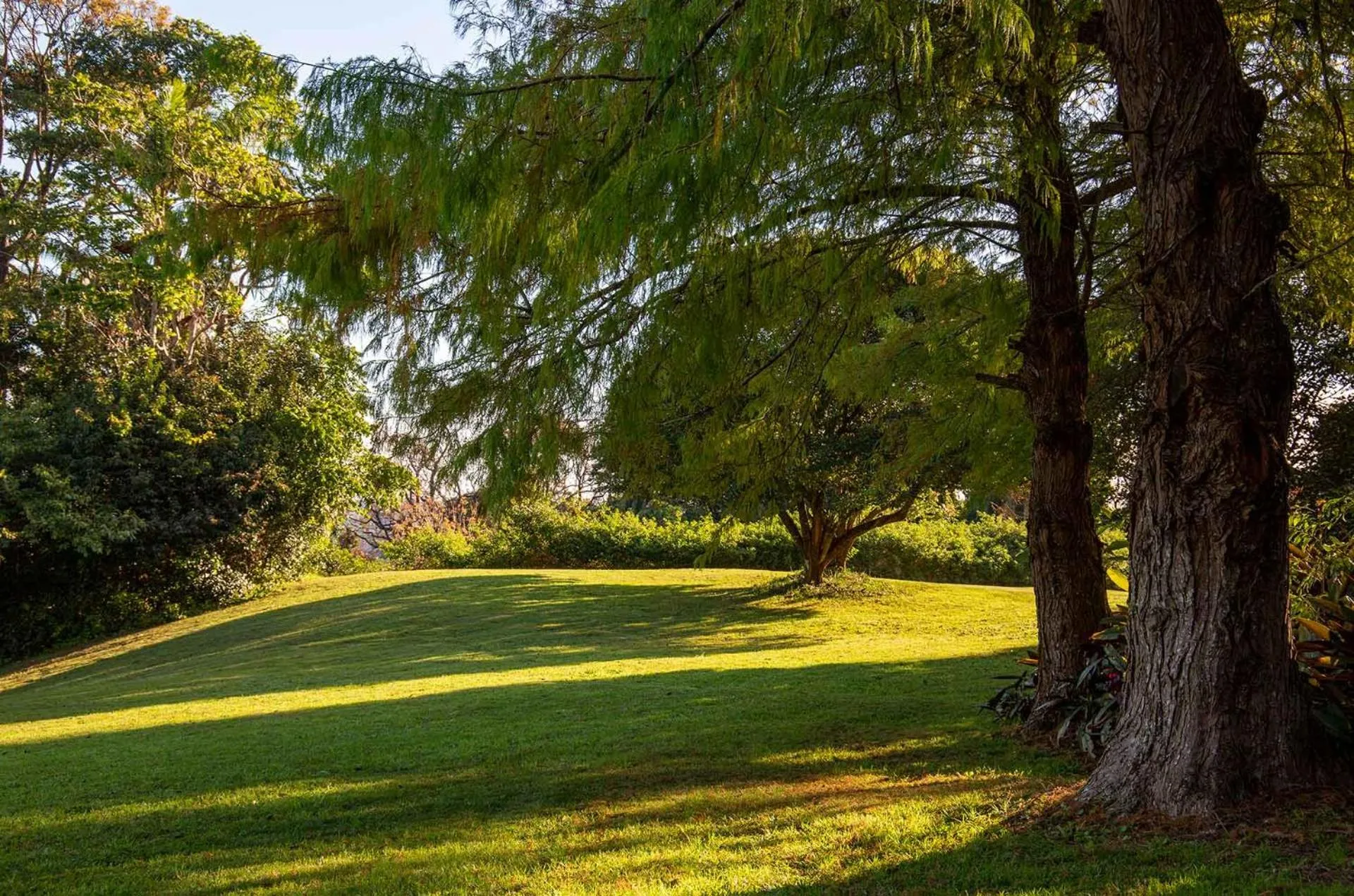 Garden in Montville Misty View Cottages