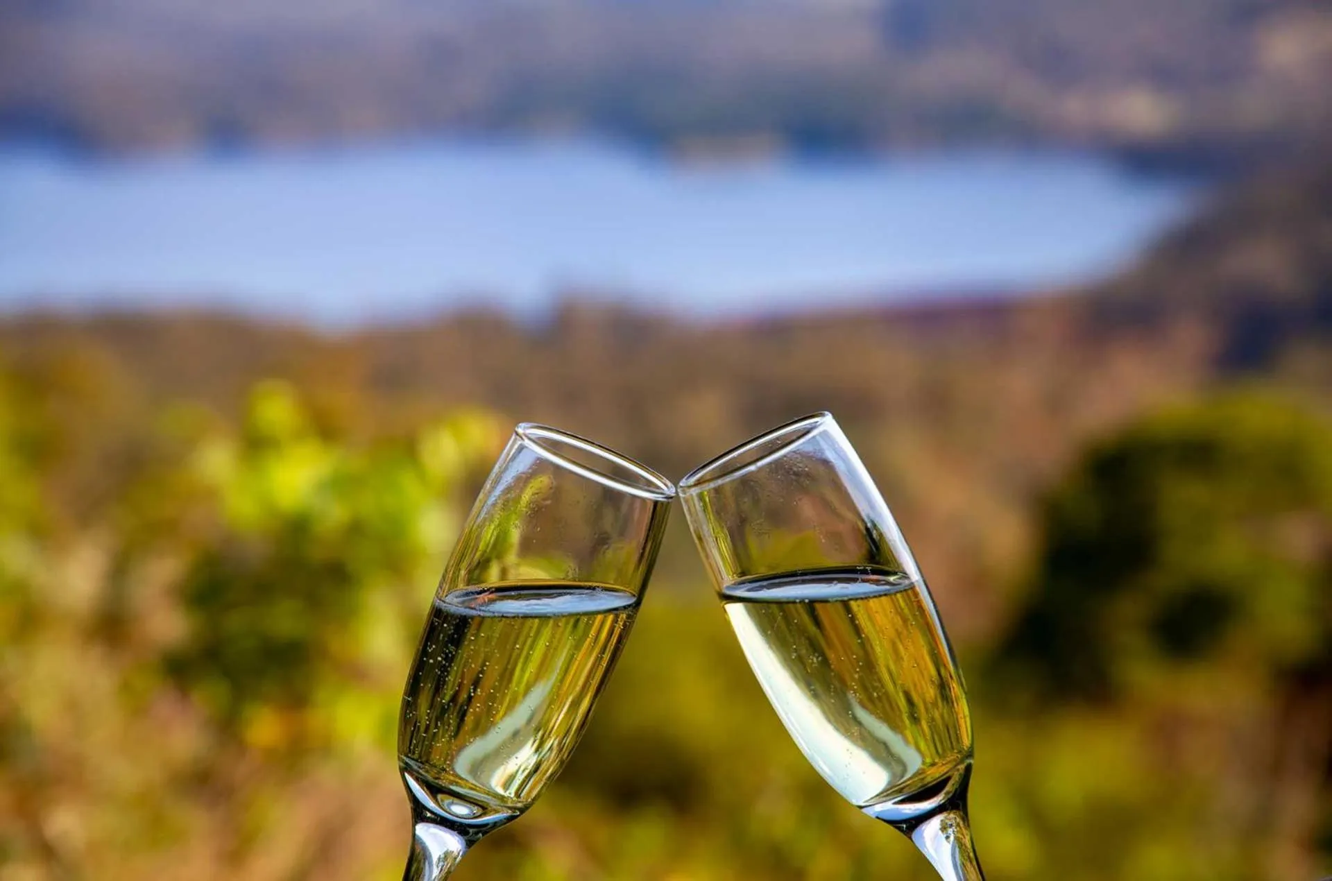 Drinks in Montville Misty View Cottages