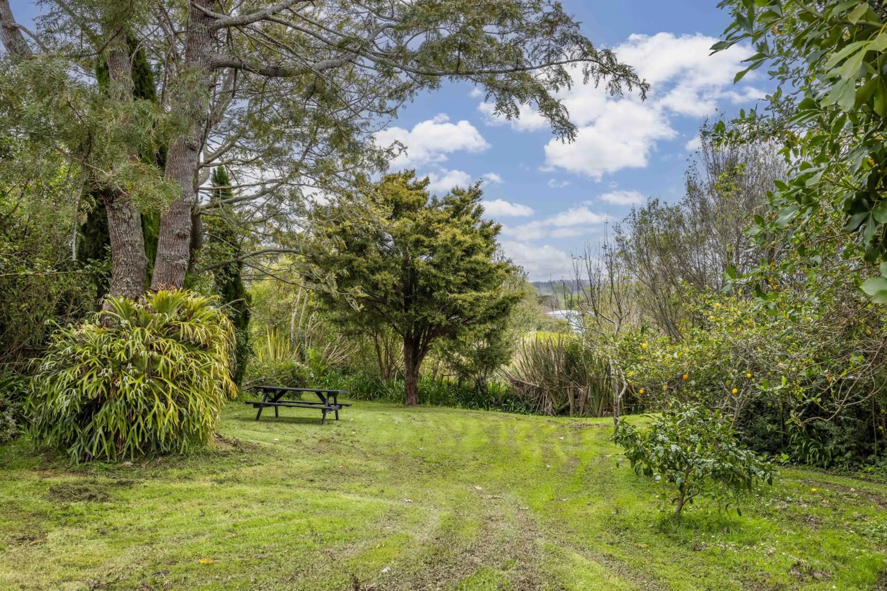 Garden in Sun Valley Motel