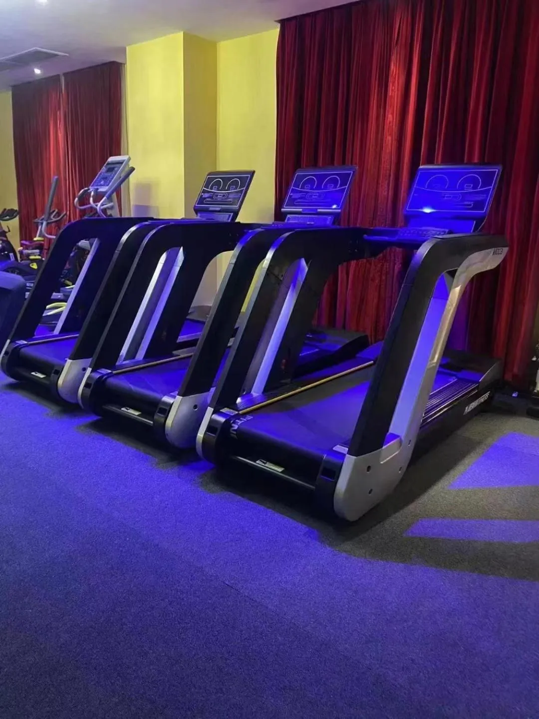 Fitness centre/facilities in The Royal Pinnacle Hotel