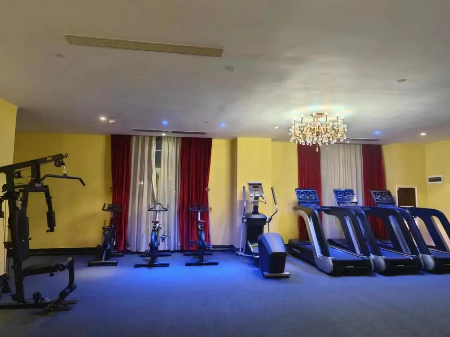 Fitness centre/facilities in The Royal Pinnacle Hotel