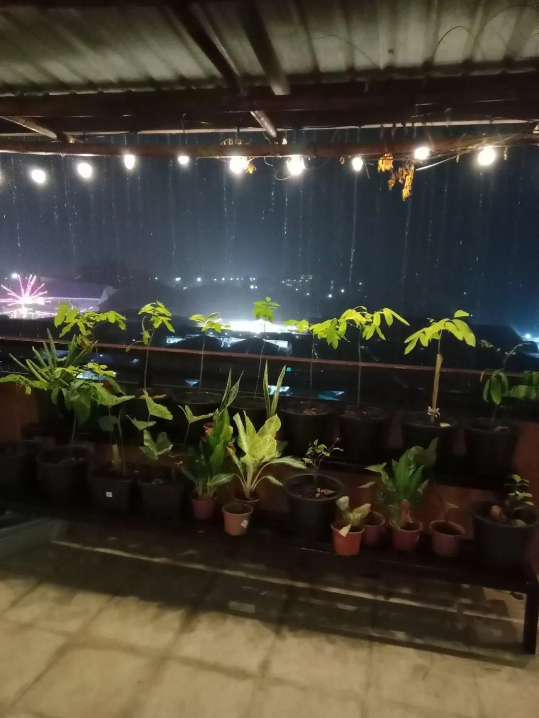 Night in The Atnal Lanta Budget and Eco Friendly hotel in Koh Lanta