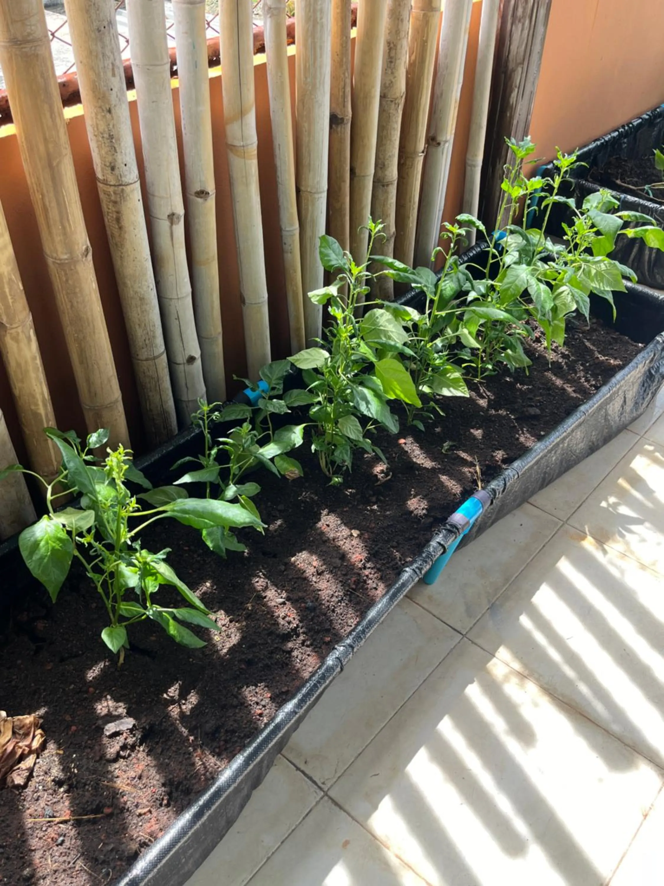 Property building in The Atnal Lanta Budget and Eco Friendly hotel in Koh Lanta