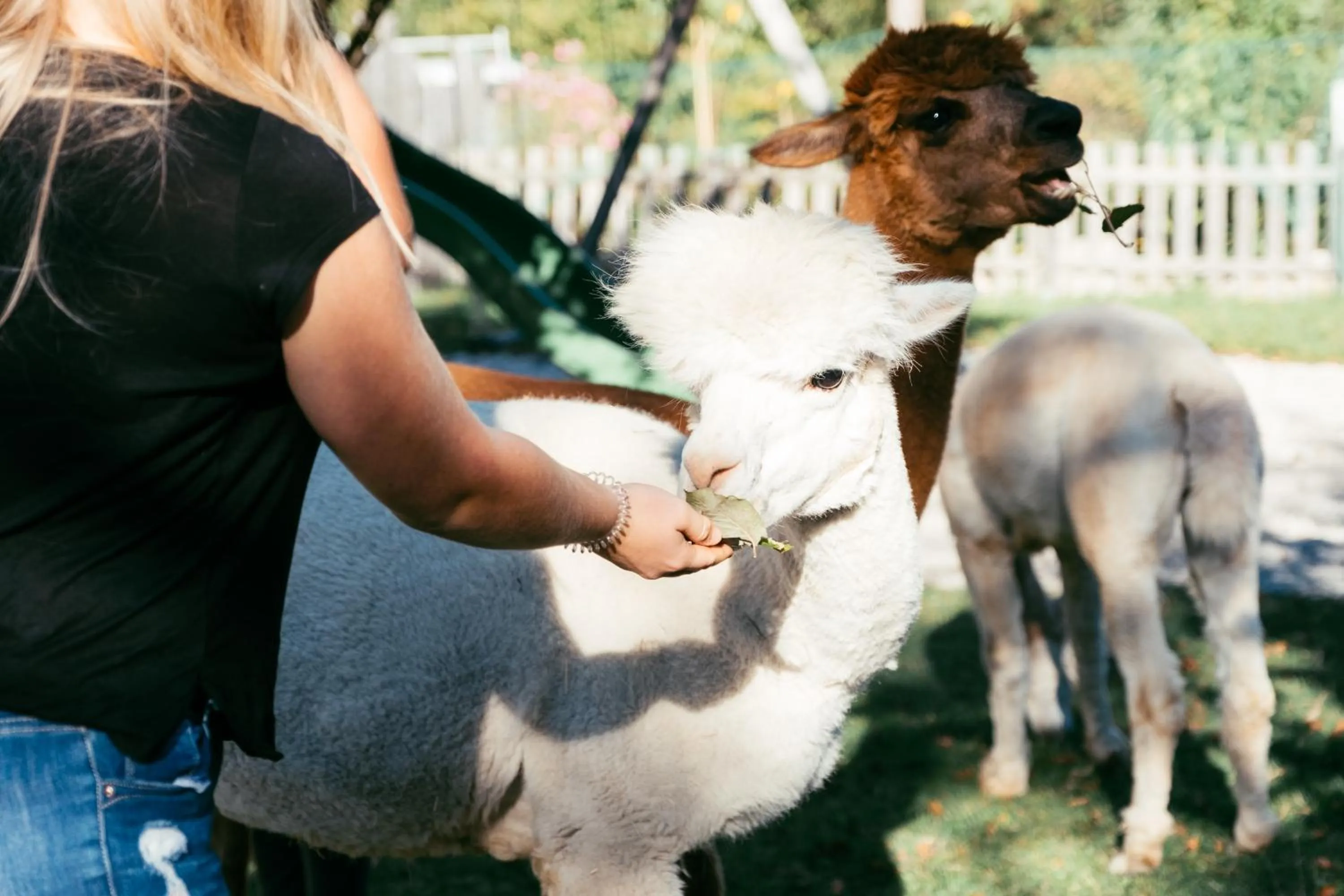 People in Das Franzl - Bett & Brot