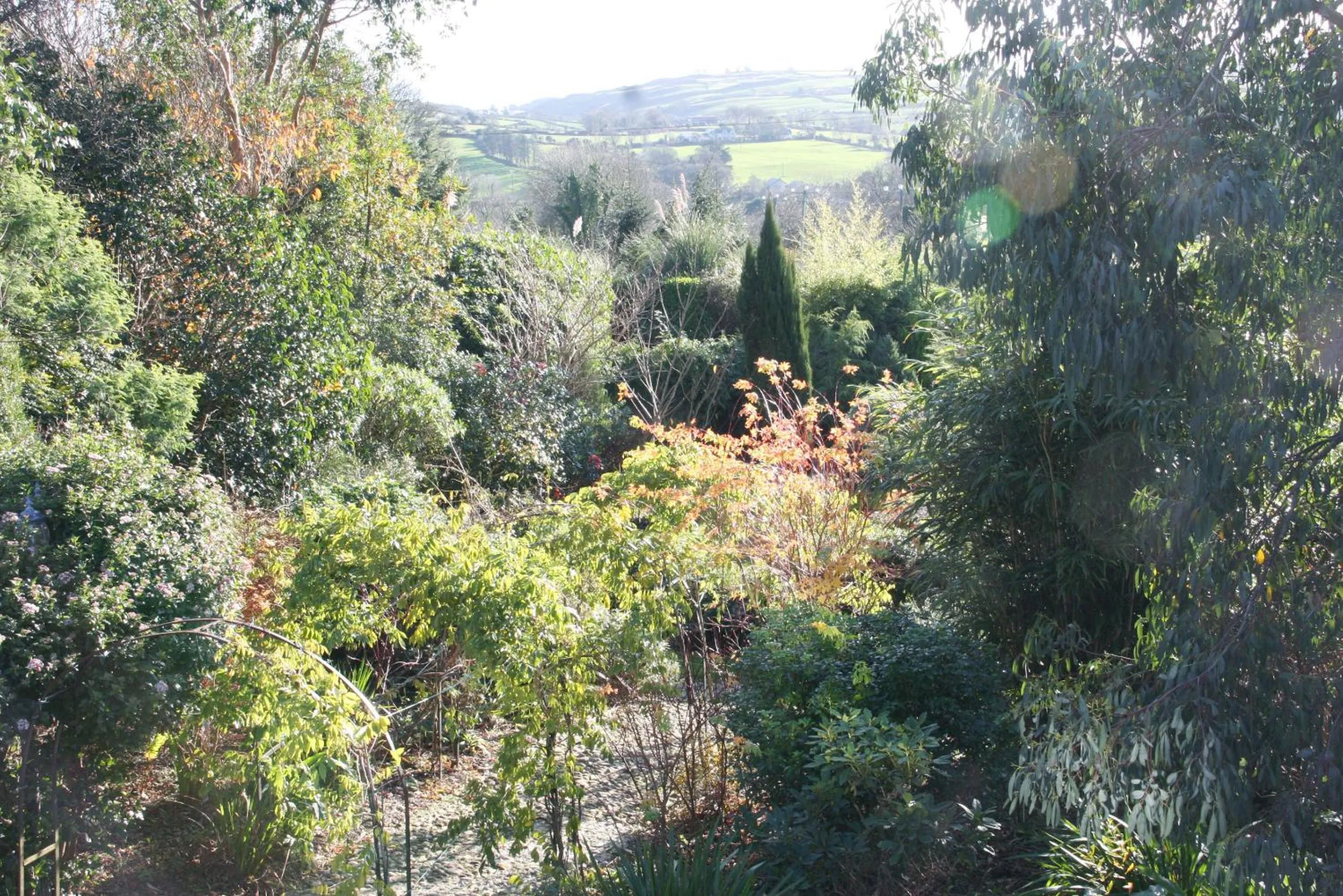 Day in Lis-Ardagh Lodge