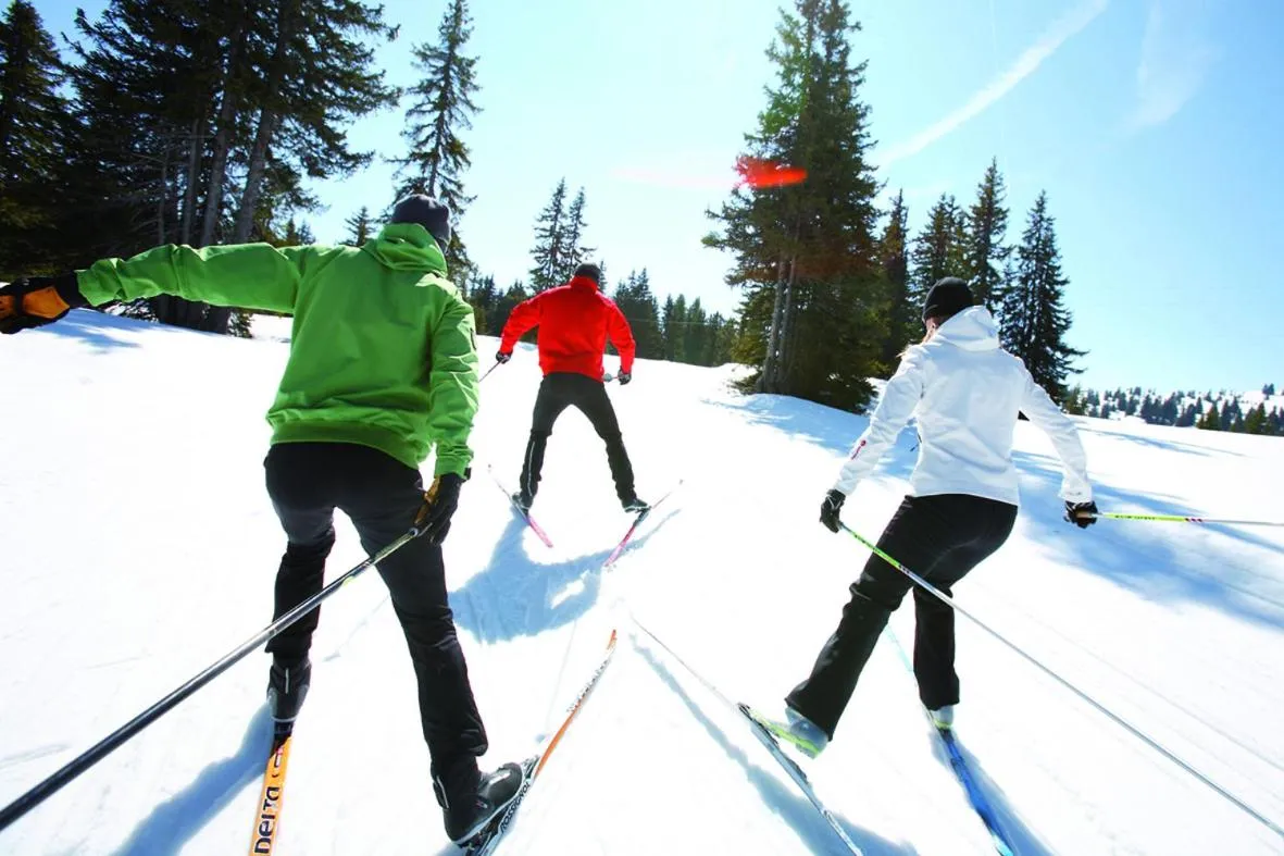 Skiing in nawu apartments & Restaurant