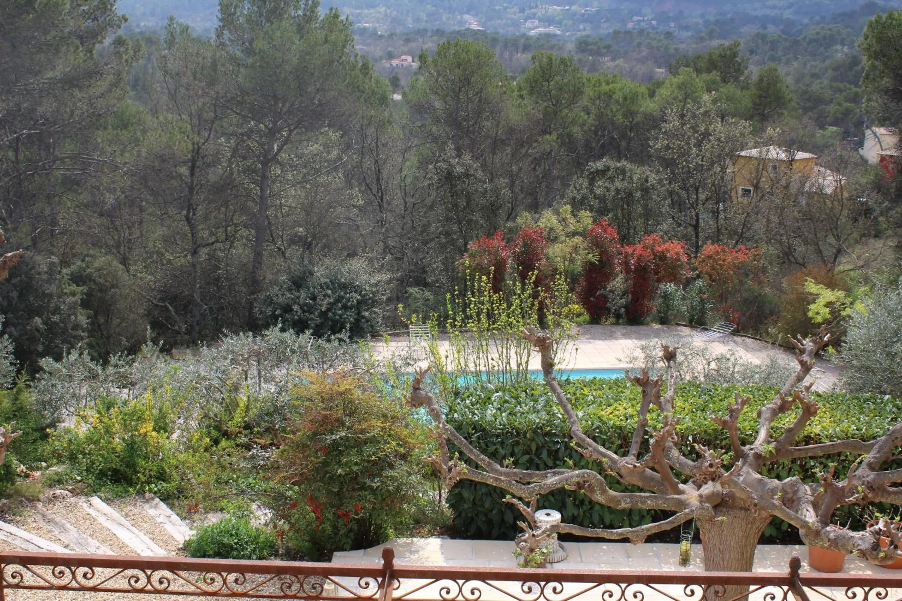 Garden view in Bastide Saint Bernard