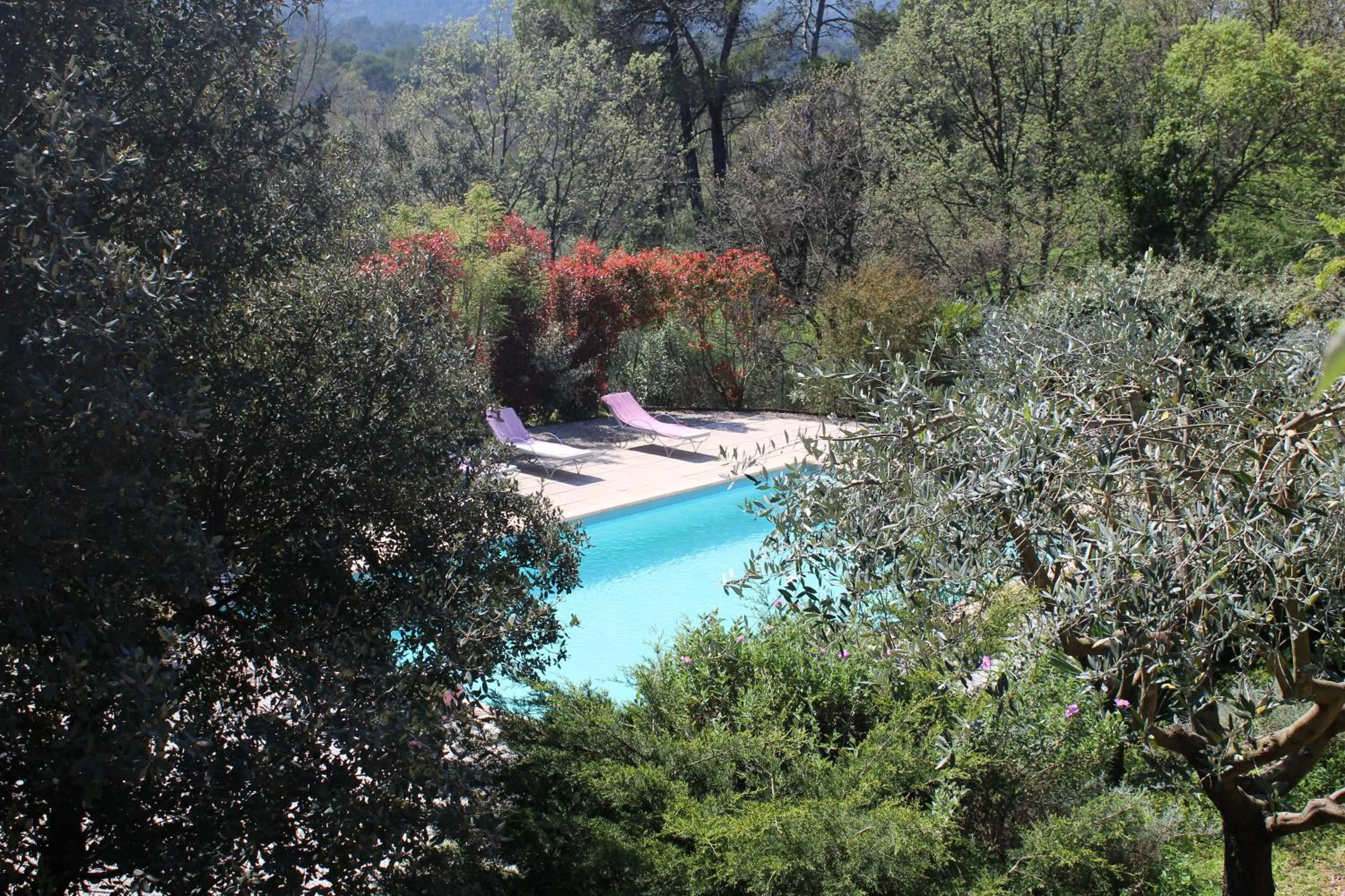 Pool view in Bastide Saint Bernard