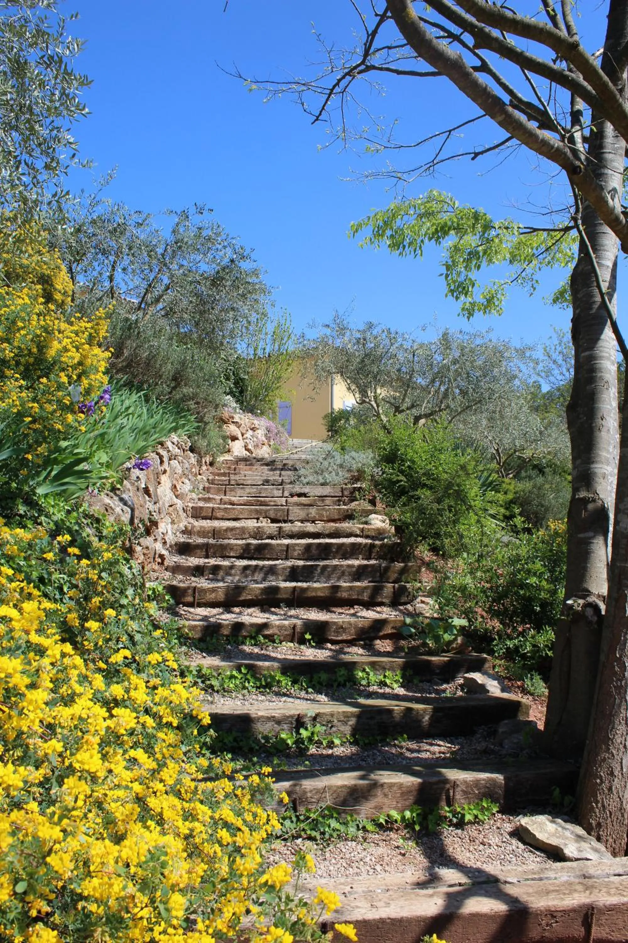 Garden in Bastide Saint Bernard