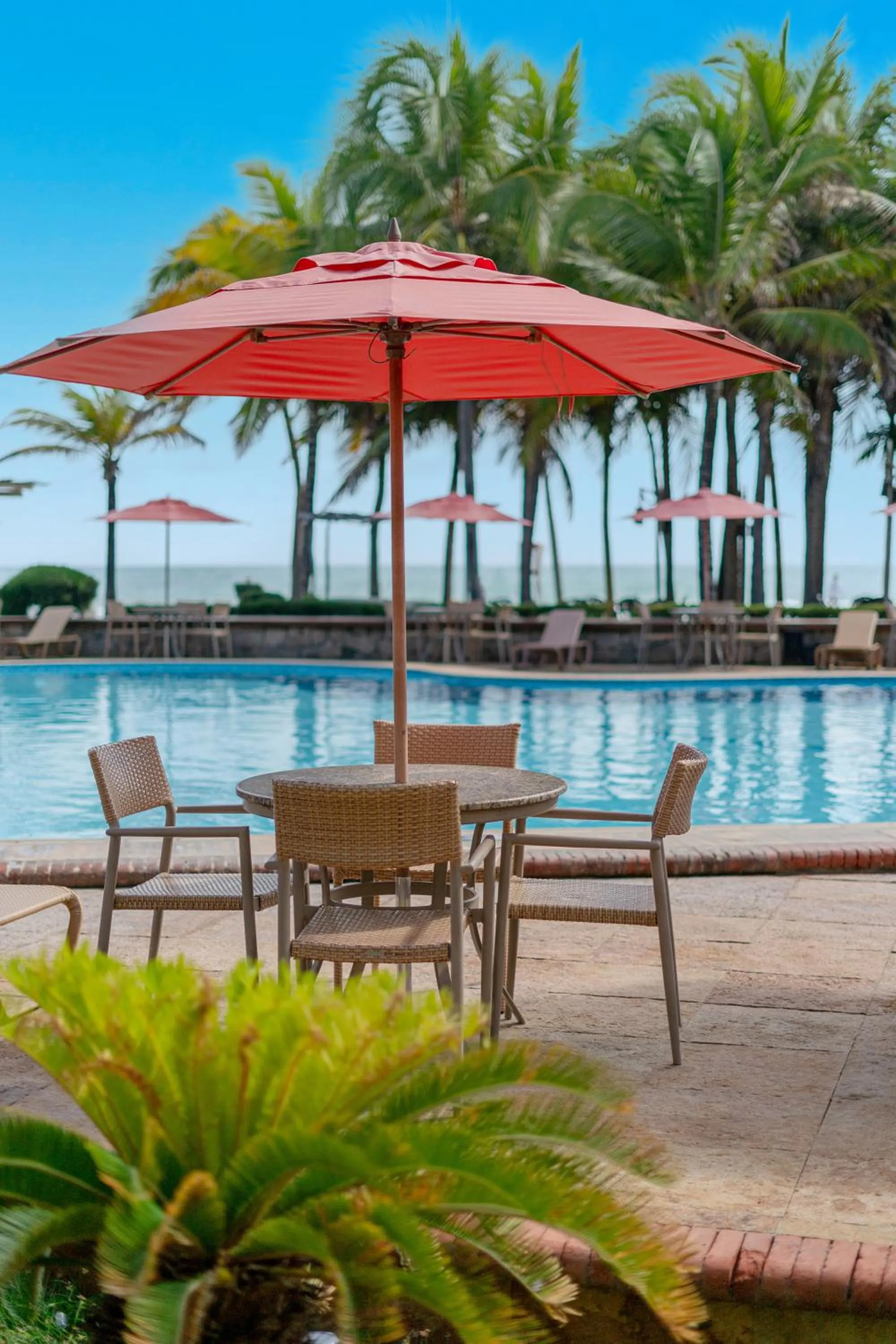 Swimming pool in Beach Park Resort - Oceani