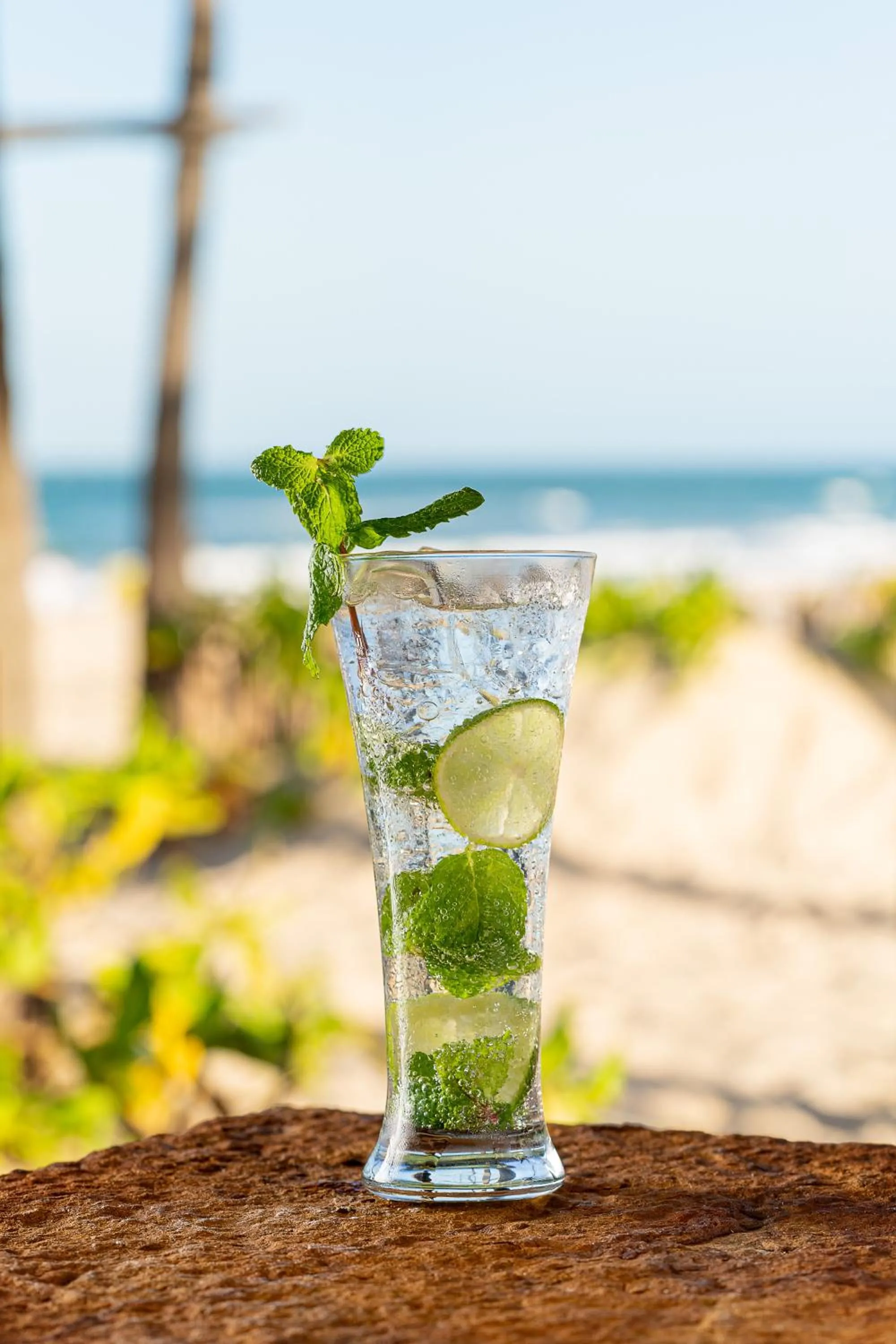 Drinks in Beach Park Resort - Oceani